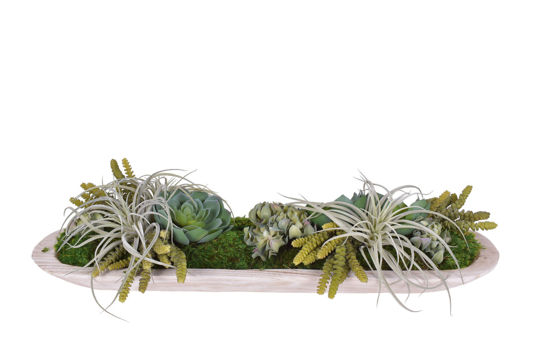 40" Sedona Trough with Succulents & Airplants   AR1122