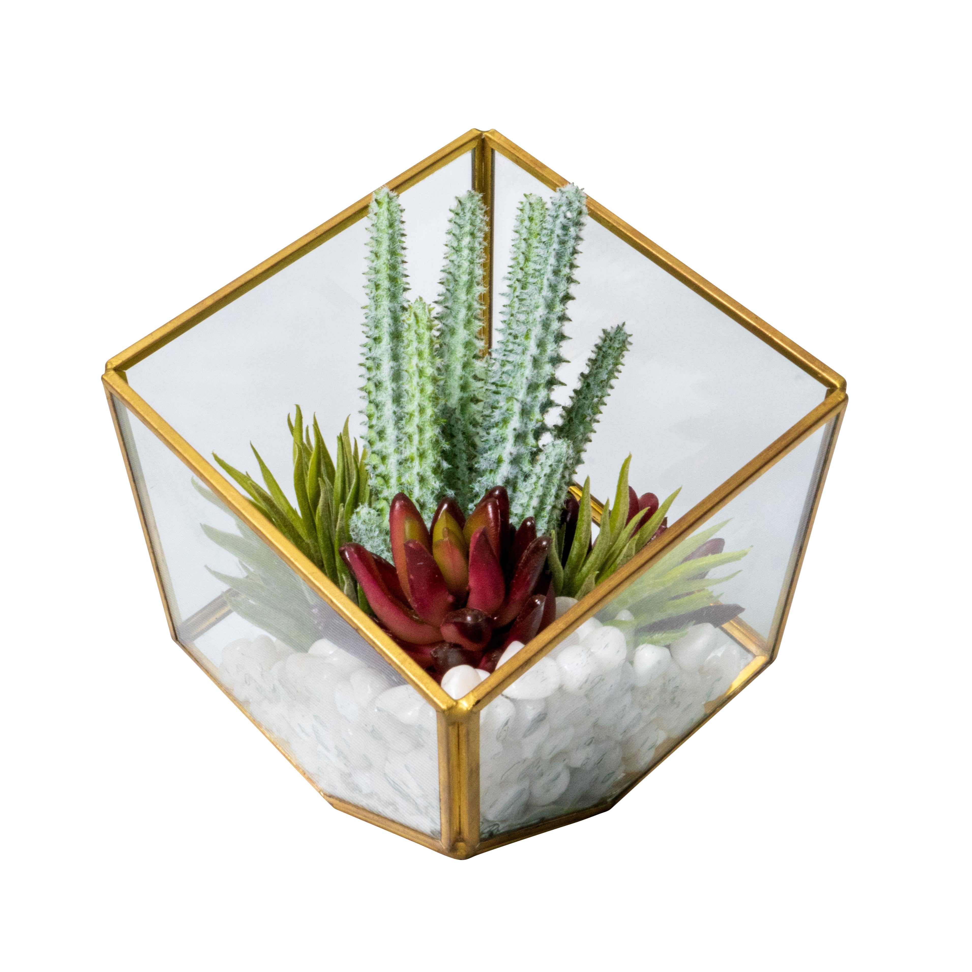 Small Gold Berkley Terrarium Arrangement AR1135