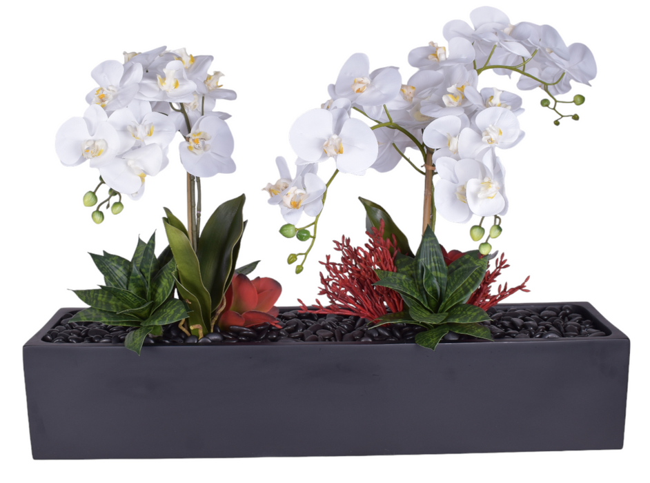 36" Black Manhattan with Orchids and Succulents   AR1146