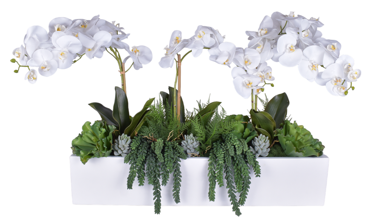 36" White Manhattan with Orchids and Succulents   AR1149