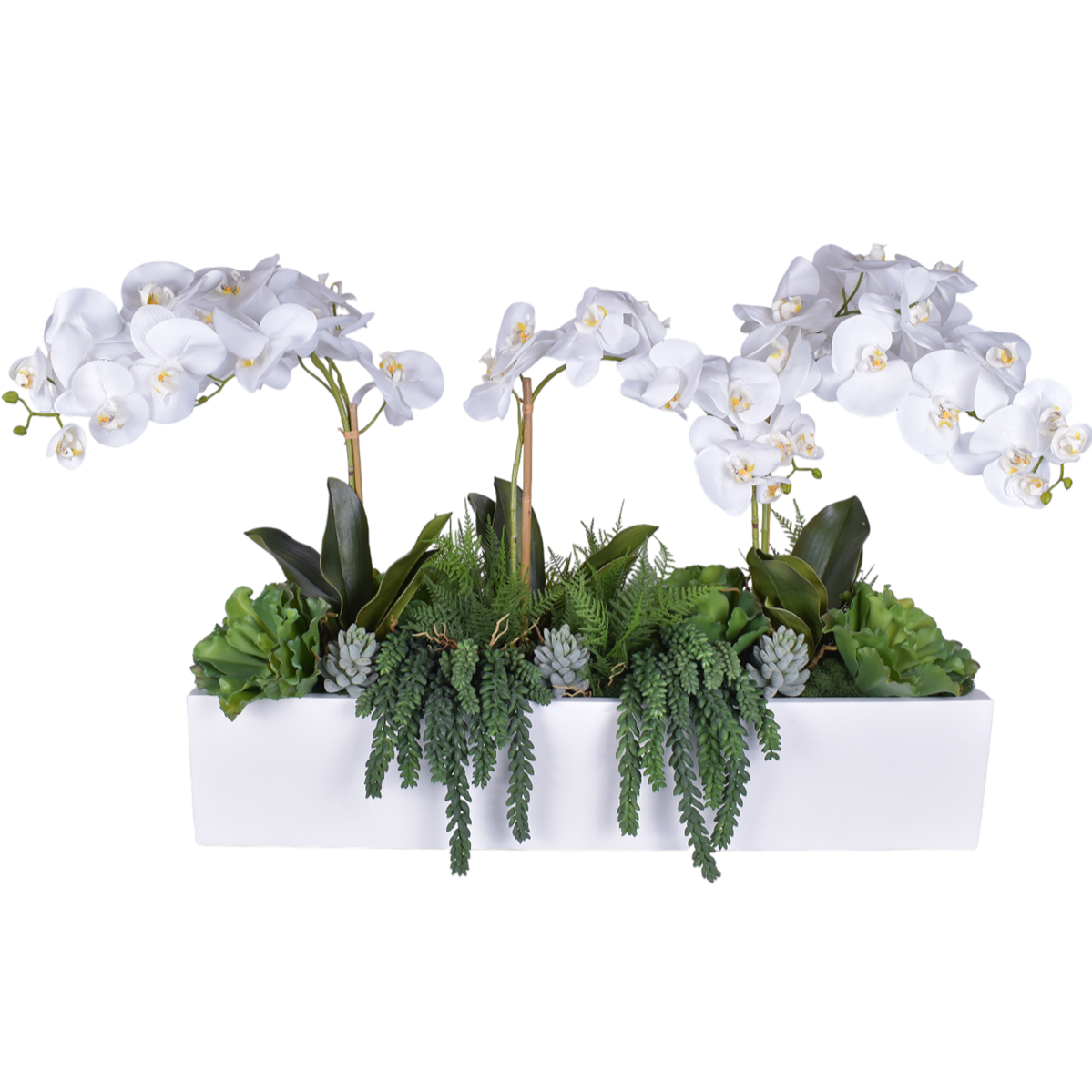 36" White Manhattan with Orchids and Succulents   AR1149