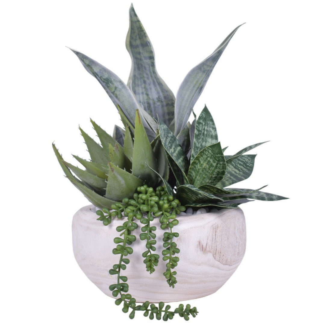 Sedona Bowl with Sanseveria and Succulents   AR1154
