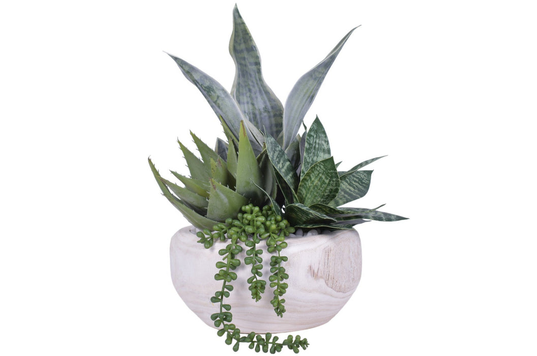 Sedona Bowl with Sansevieria and Succulents   AR1154