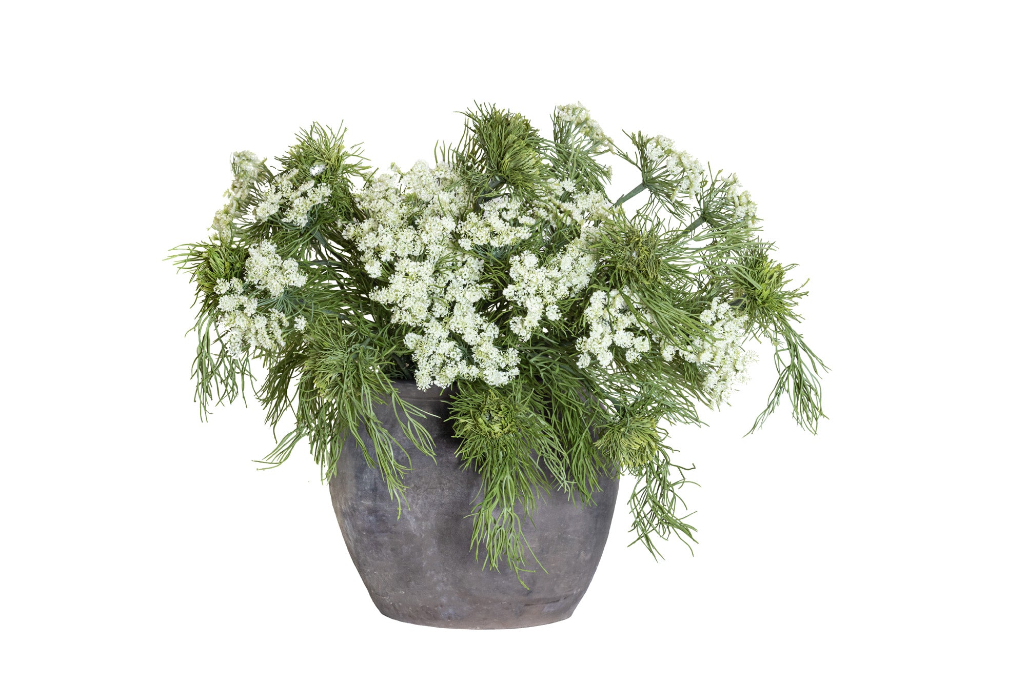 Queen Anne's Lace Arrangement  AR1157
