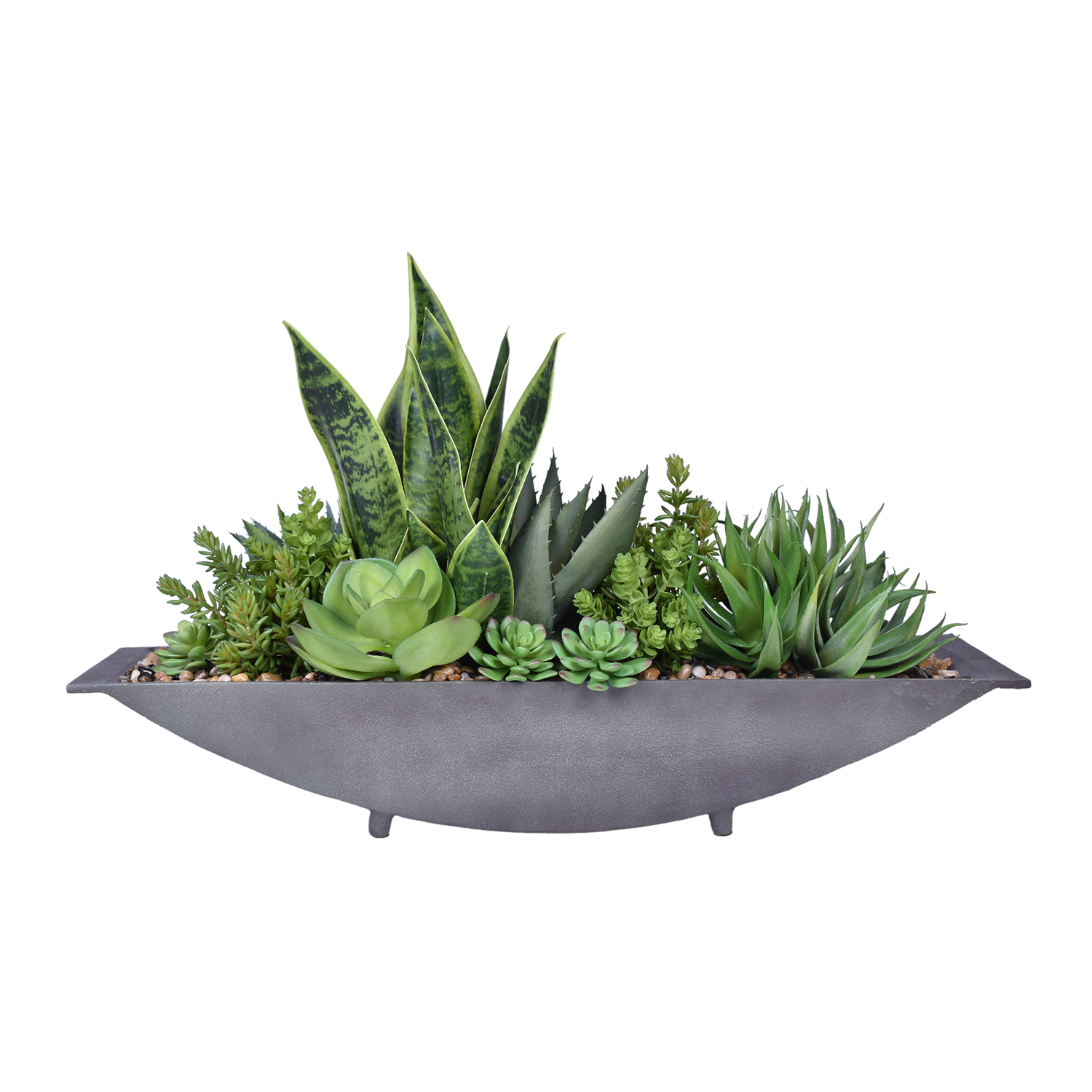 Capri Metal Planter with Sansaveria and Succulents  AR1160