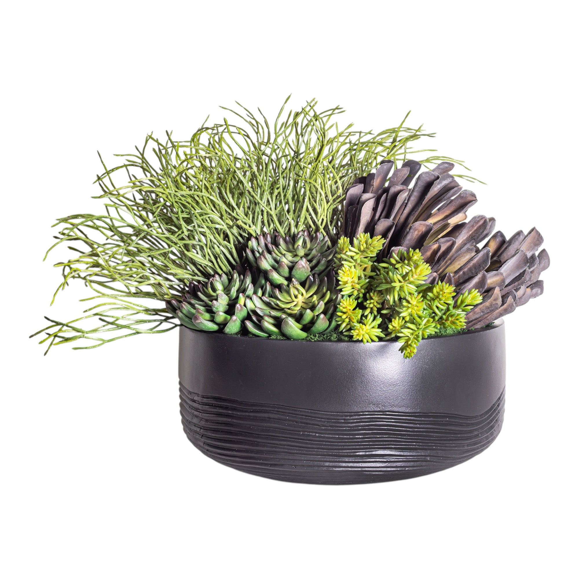 14" Ryker Bowl with Mixed Succulent Arrangement AR1182