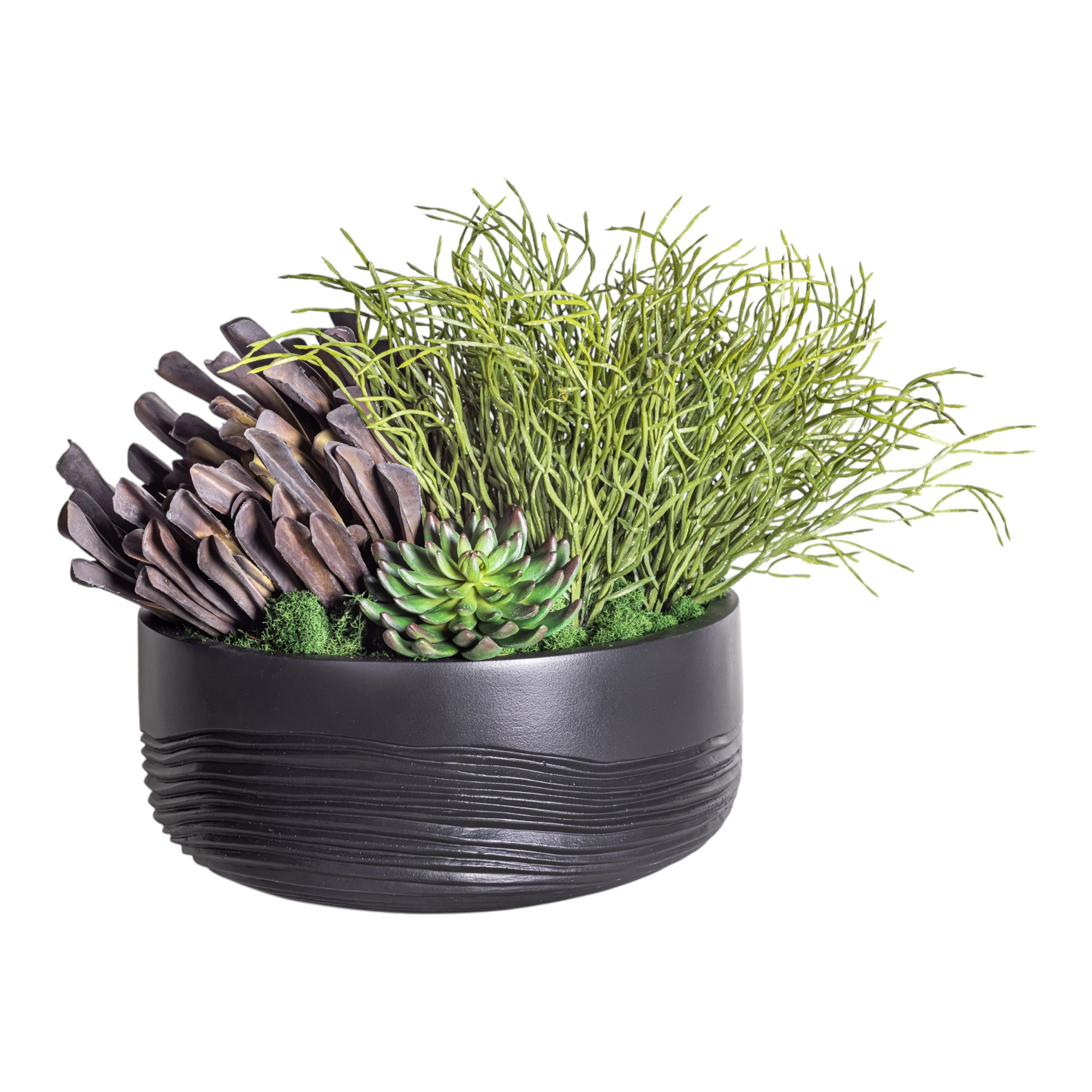 14" Ryker Bowl with Mixed Succulent Arrangement AR1182