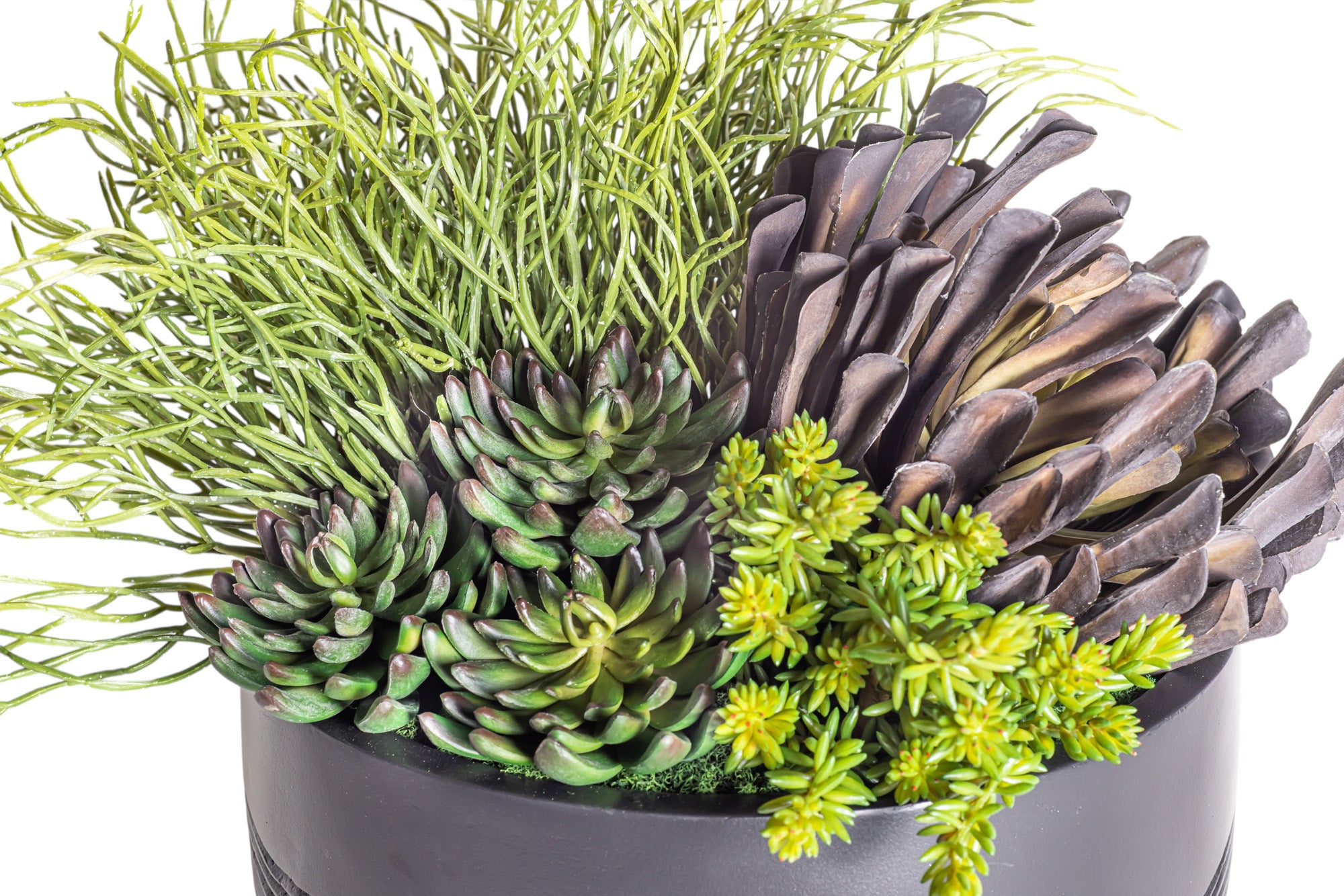 14" Ryker Bowl with Mixed Succulent Arrangement AR1182