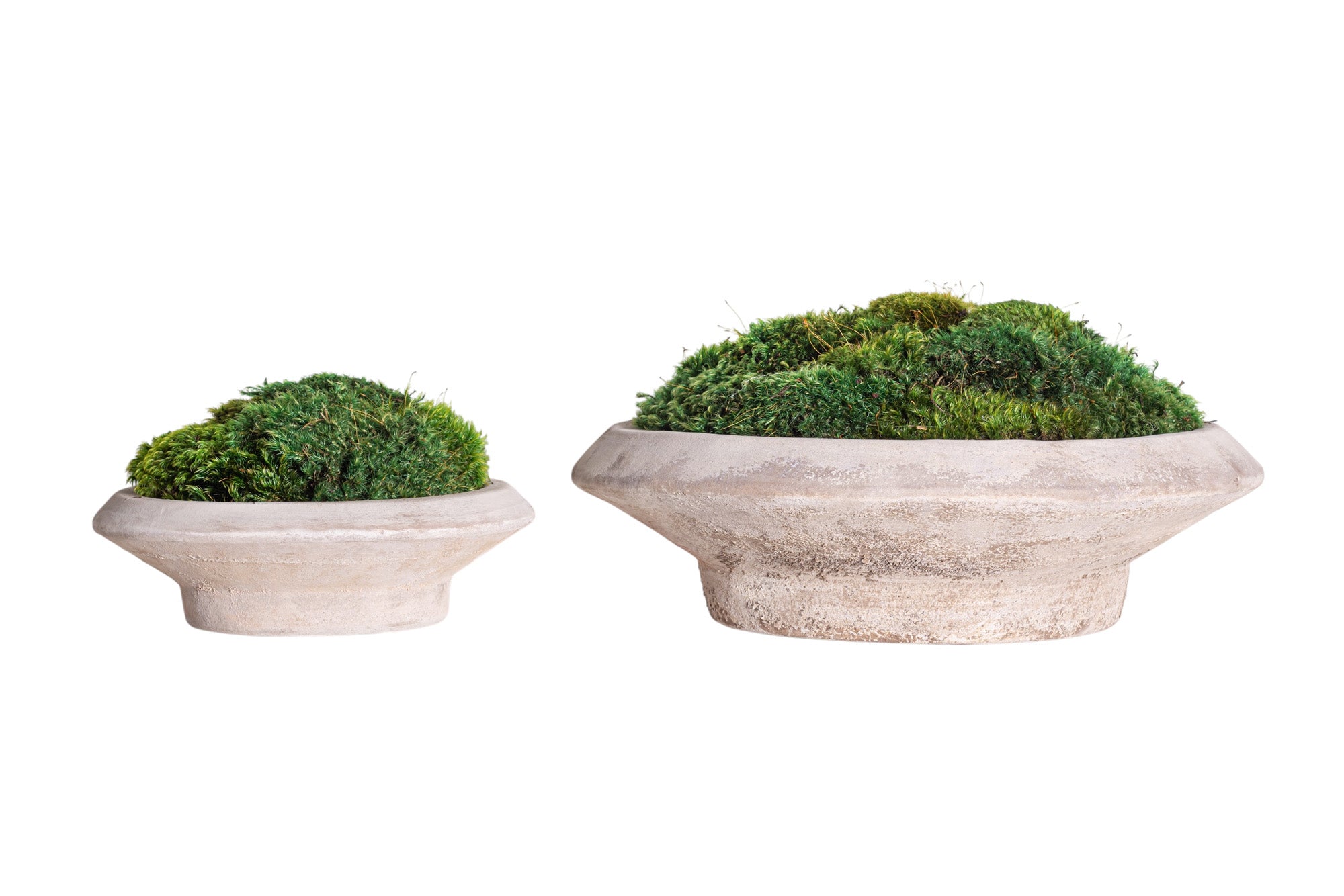 12" Sayulita Footed Saucer with Mood Moss Arrangement AR1279
