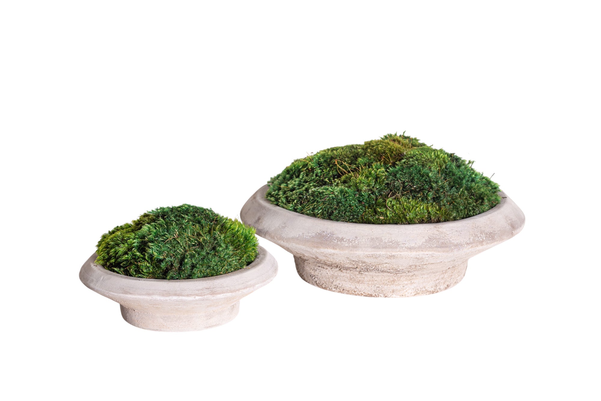 18" Sayulita Footed Saucer with Mood Moss Arrangement AR1190