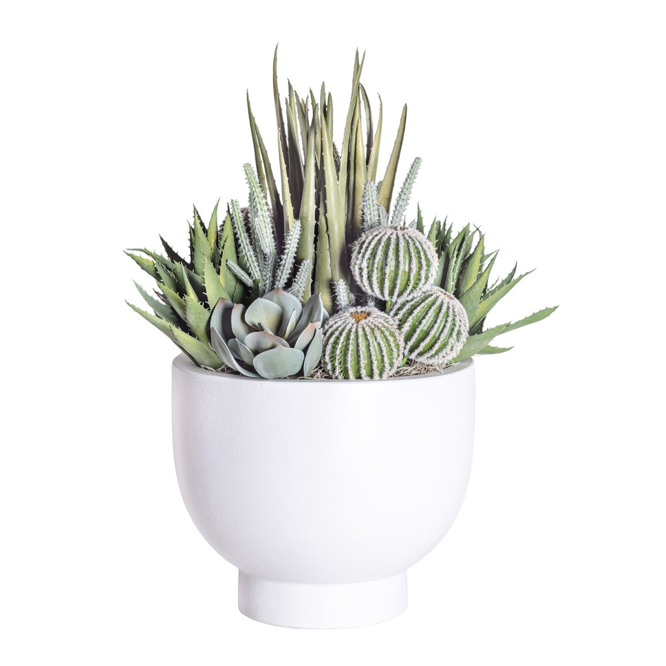 12" White Mack Compote with Mixed Cactus Arrangement AR1194