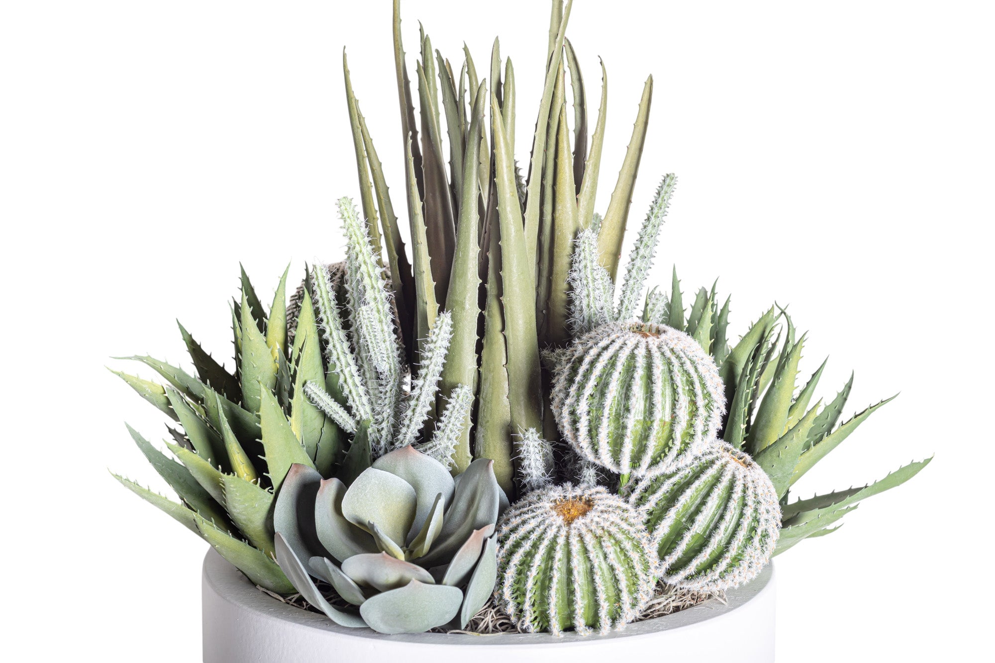 12" White Mack Compote with Mixed Cactus Arrangement AR1194