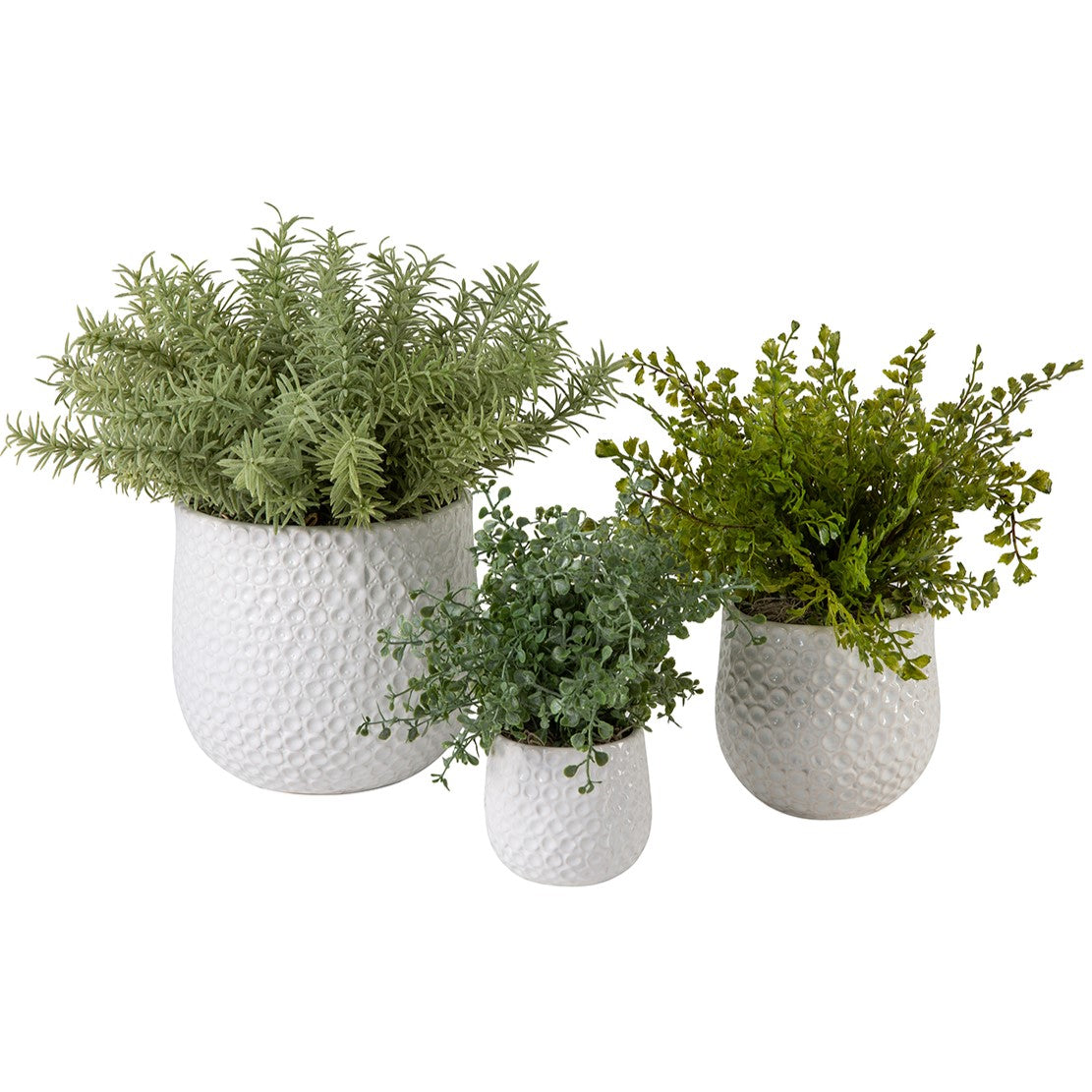 Ginny Pot Collection with Herb Arrangements  AR1204