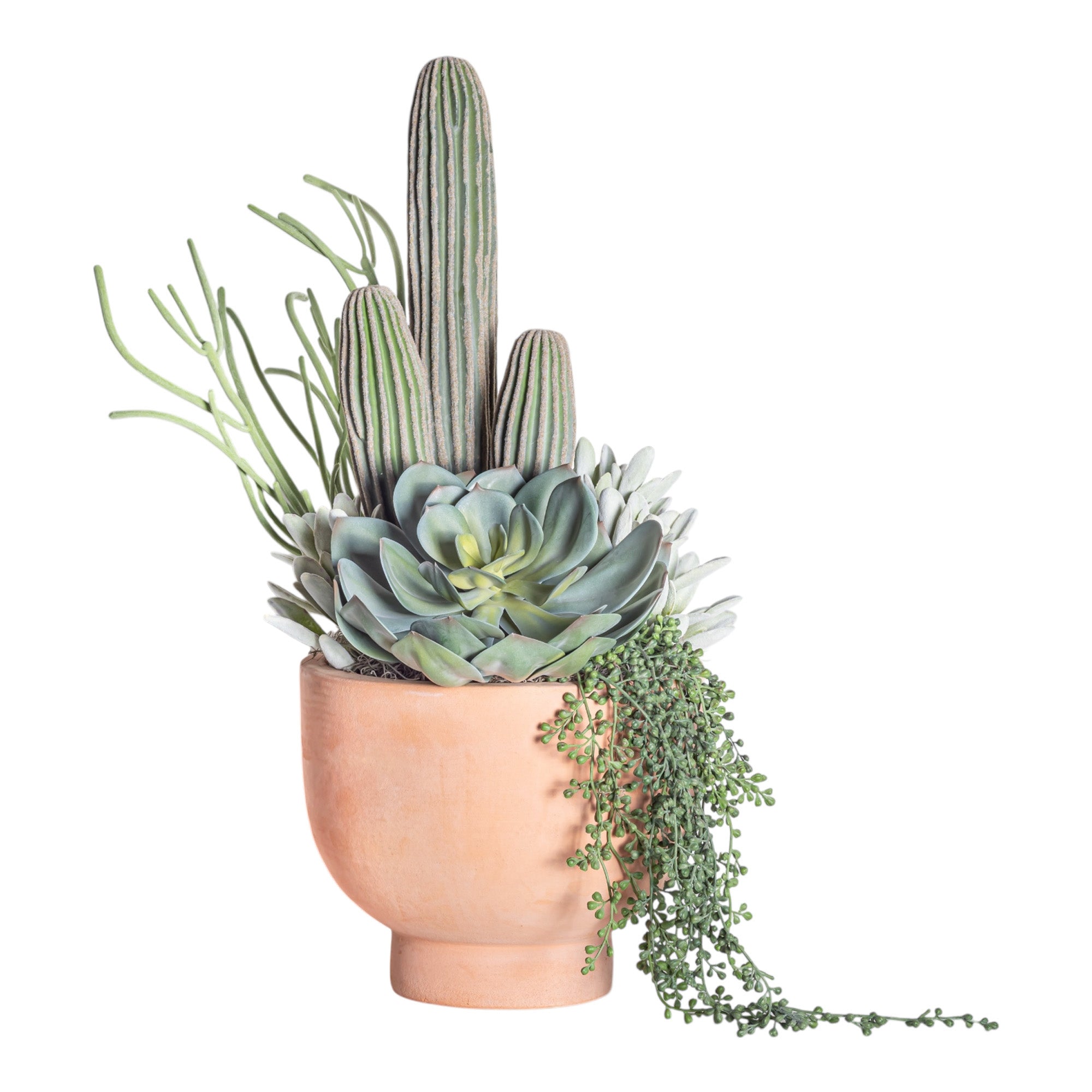 12" Terracotta Mack Compote with Mixed Cactus Arrangement AR1207
