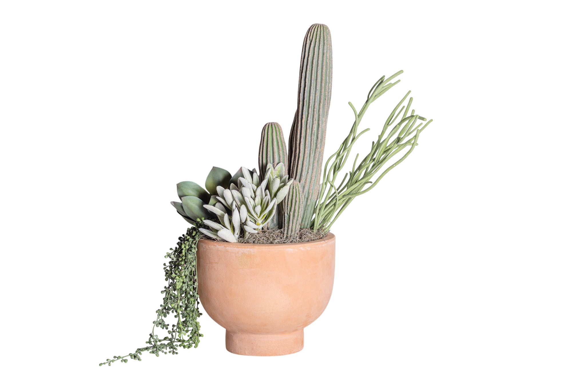 12" Terracotta Mack Compote with Mixed Cactus Arrangement AR1207