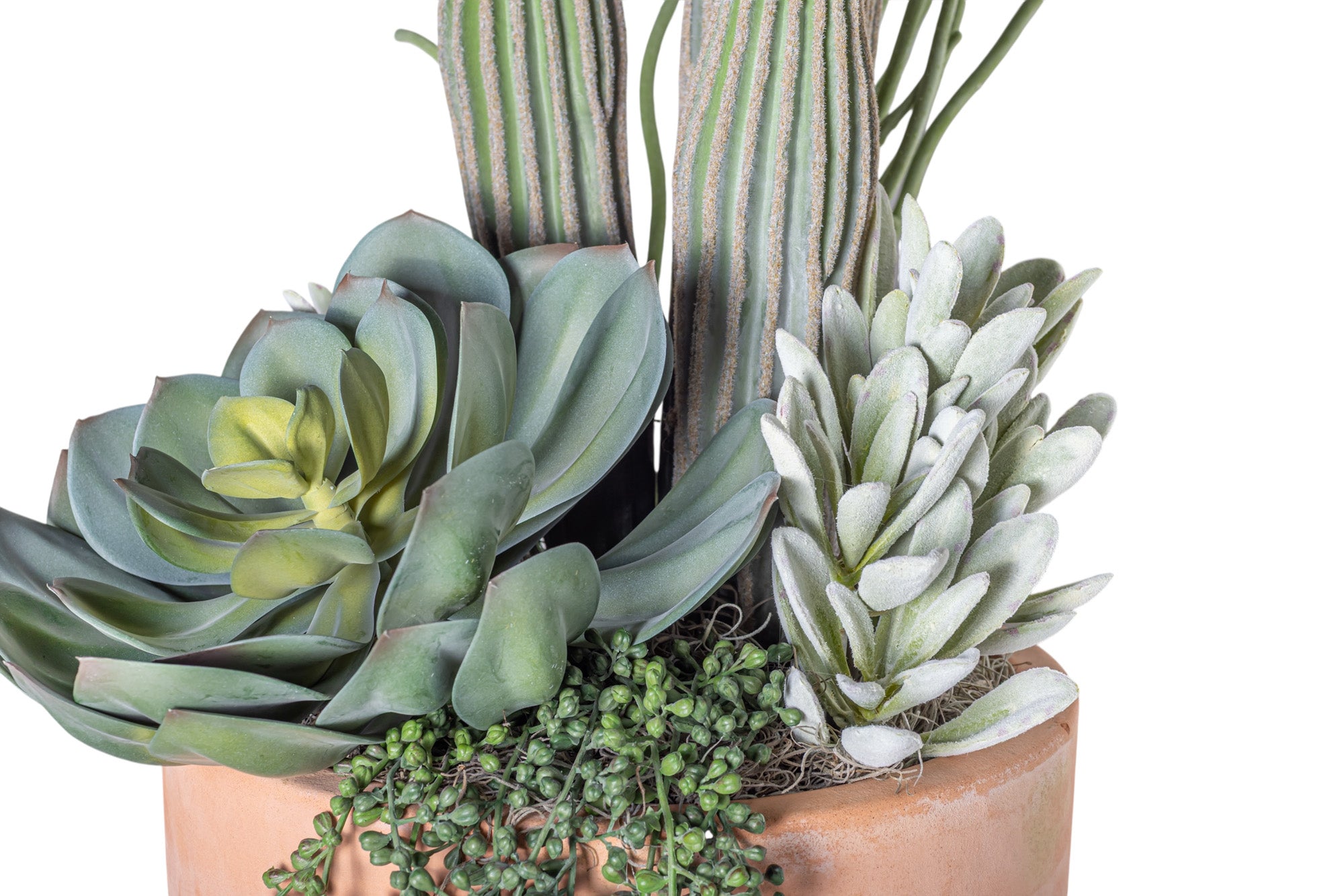12" Terracotta Mack Compote with Mixed Cactus Arrangement AR1207