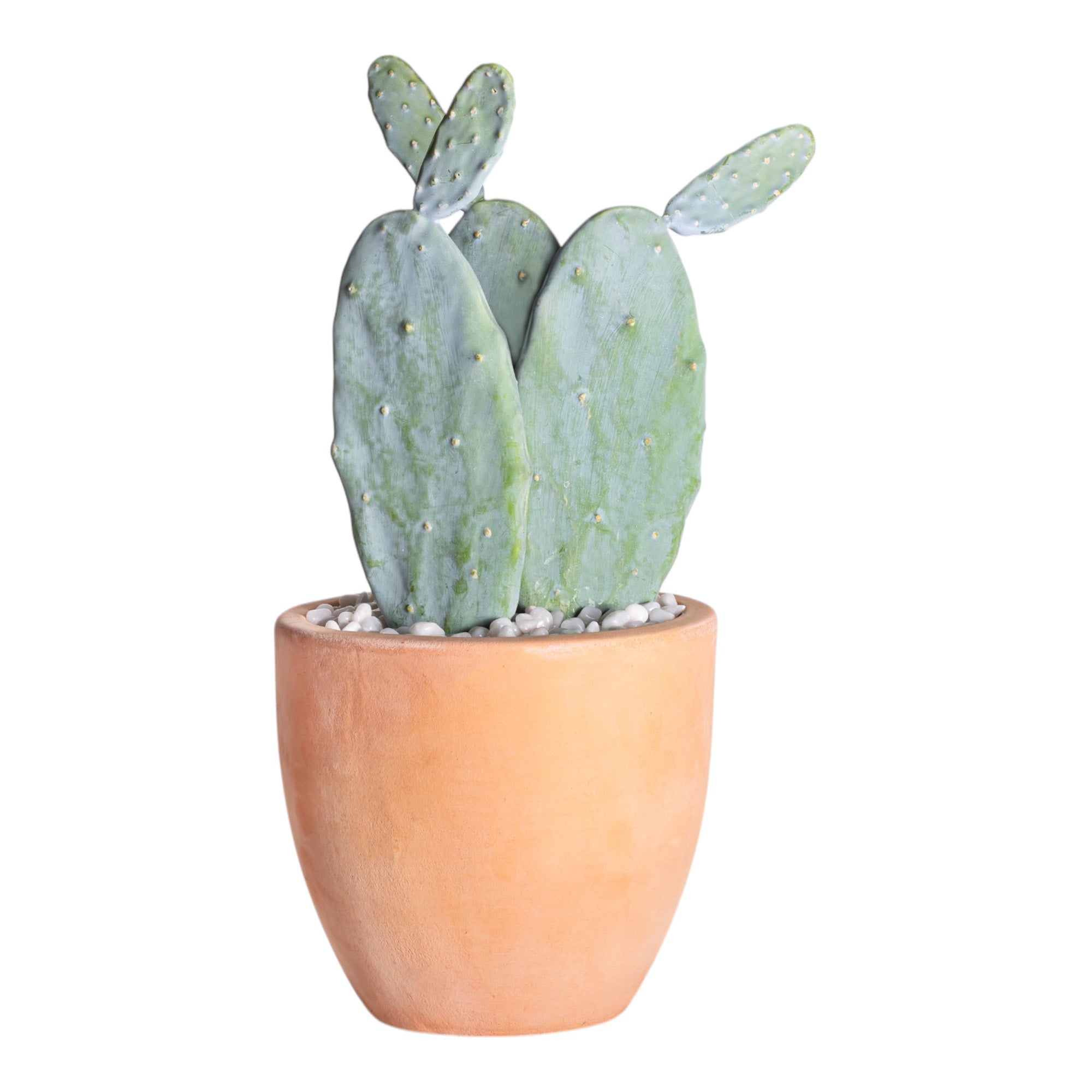9" Terracotta Mack Pot with Cactus Arrangement AR1208