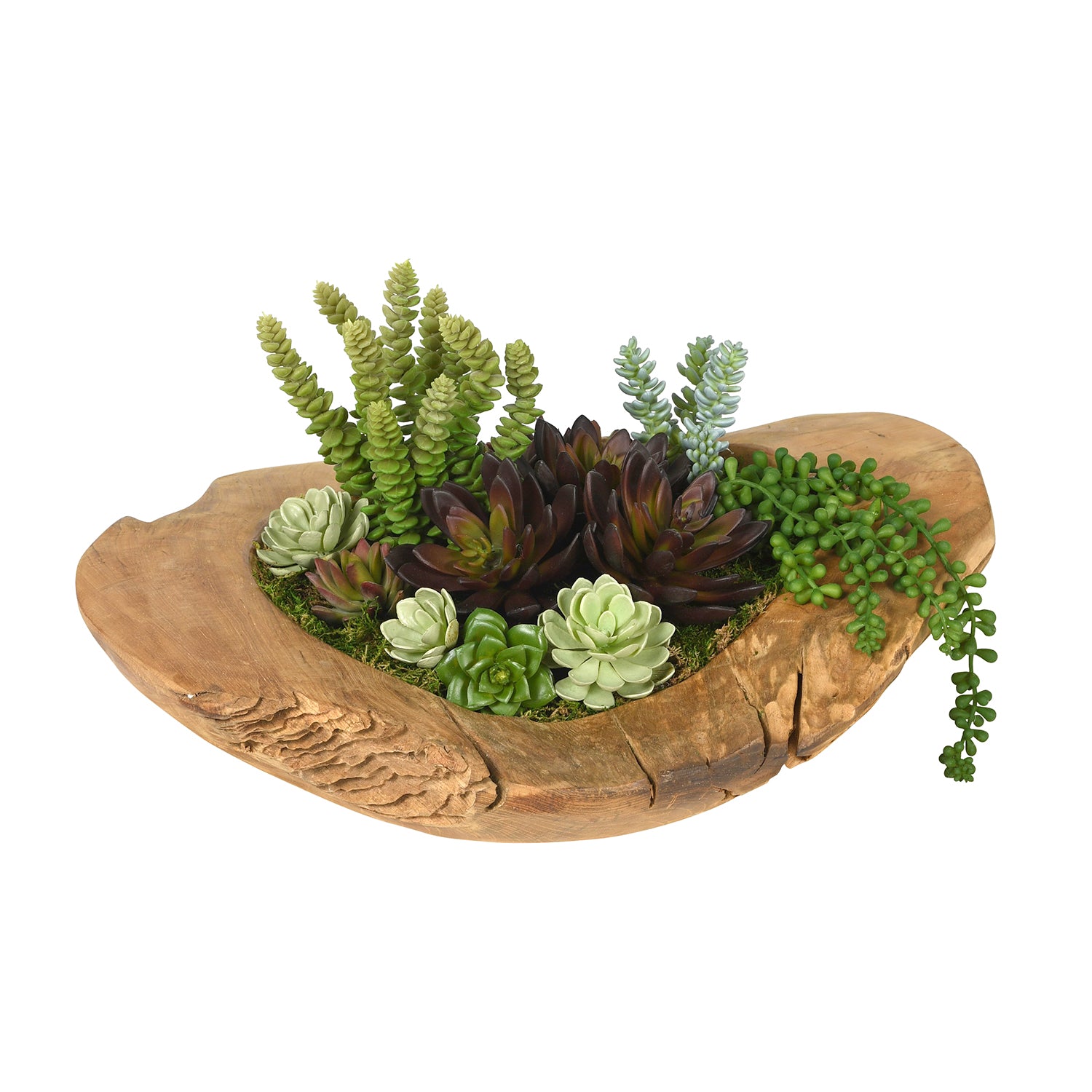 20" Java Teak Wood Bowl with Succulent Arrangement AR1215