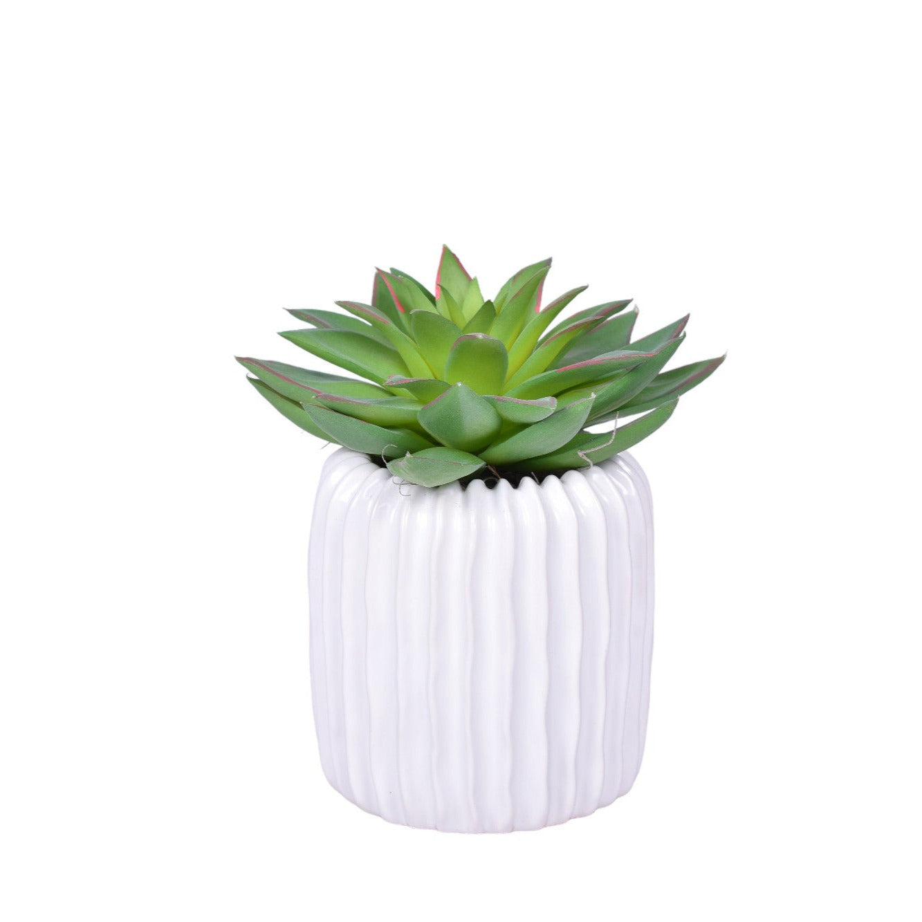 5” Haven Pot with Succulent Arrangement   AR1230