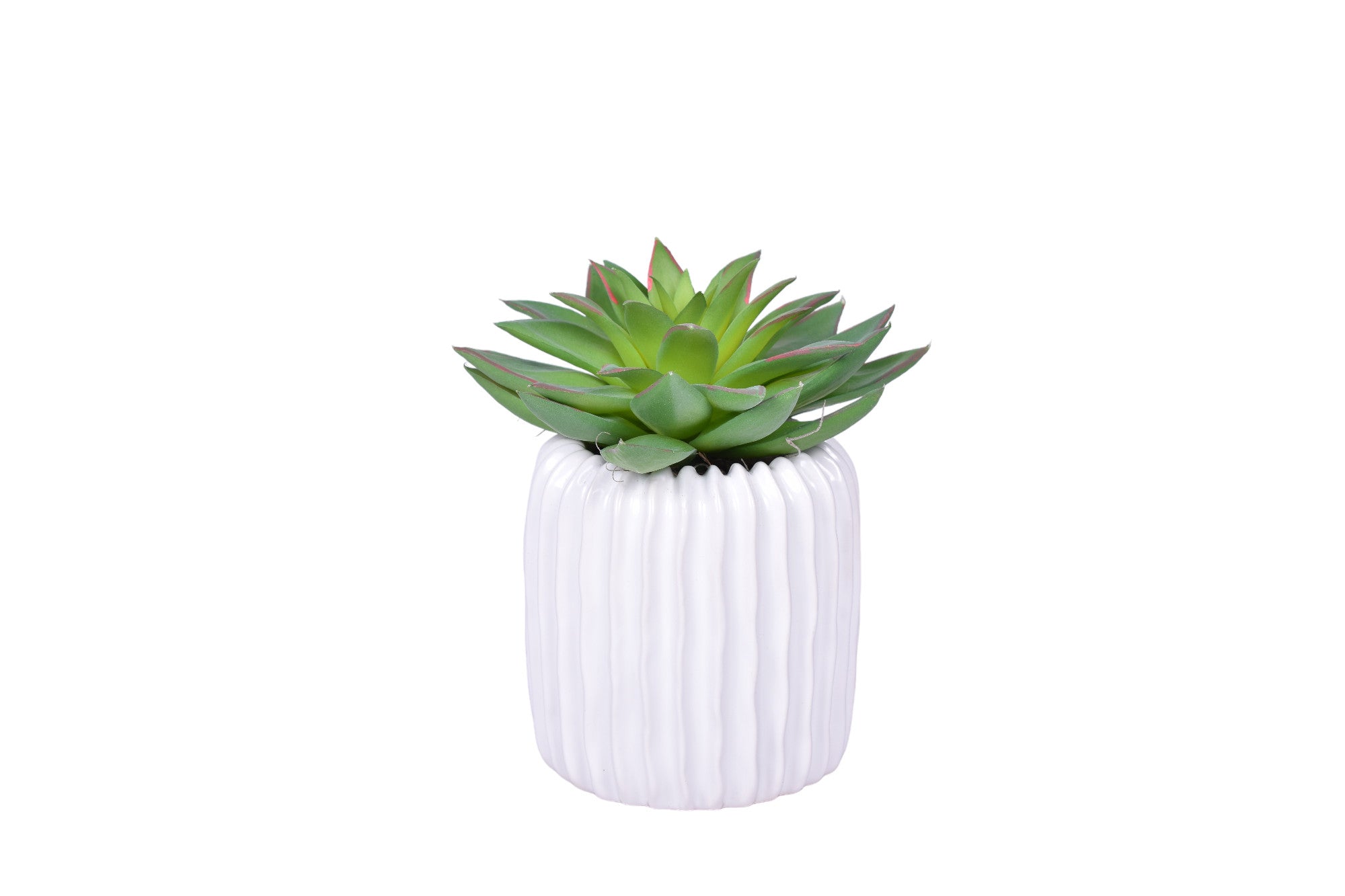 5” Haven Pot with Succulent Arrangement   AR1230