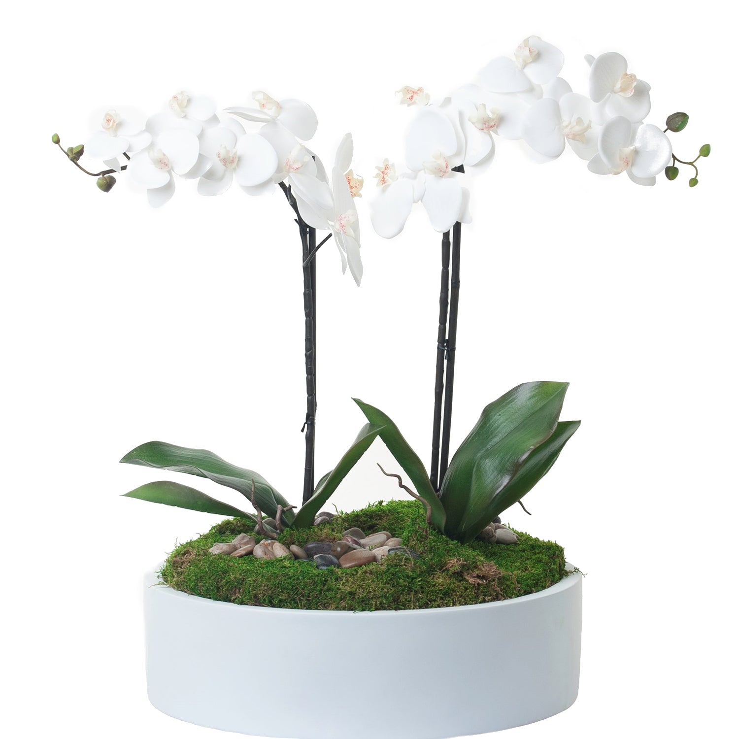 19" White Morgan Bowl with Orchid Arrangement AR1242