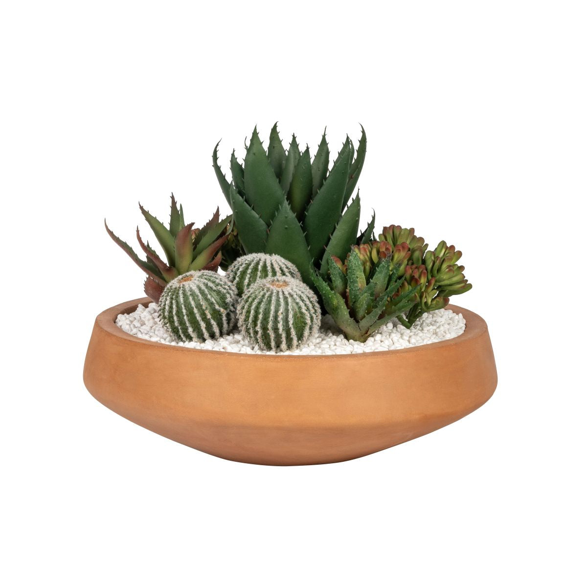 18" Burnt Orange Mack Bowl with Succulent Arrangement   AR1246