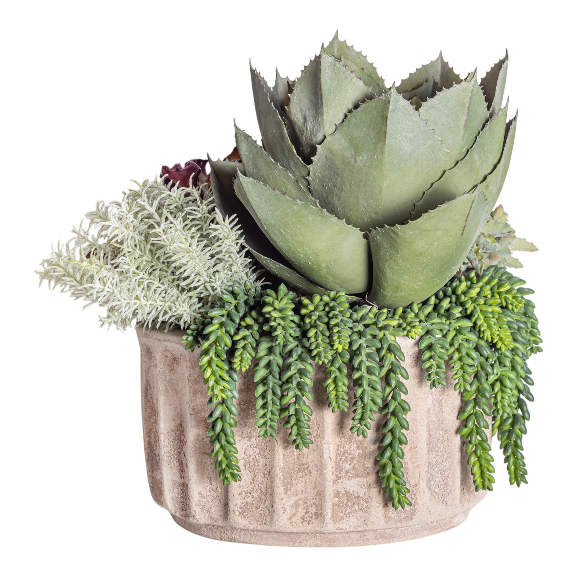 15" Verona Planter with Mixed Succulent Arrangement AR1267