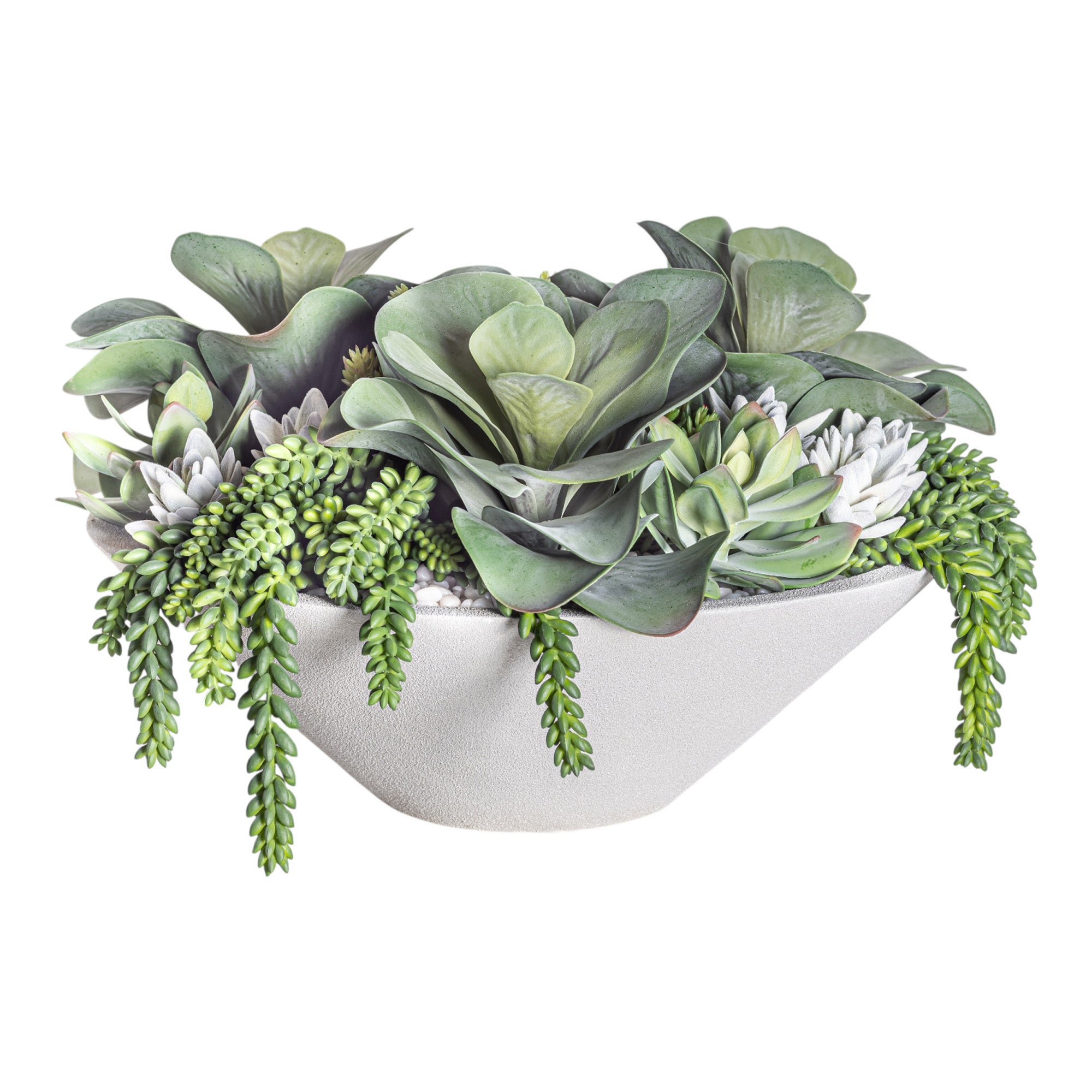20" Raelynne Bowl with Low Mixed Succulent Arrangement AR1272