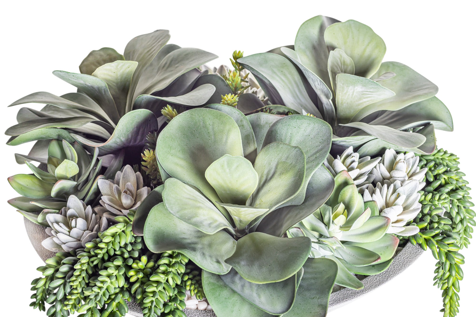 20" Raelynne Bowl with Low Mixed Succulent Arrangement AR1272