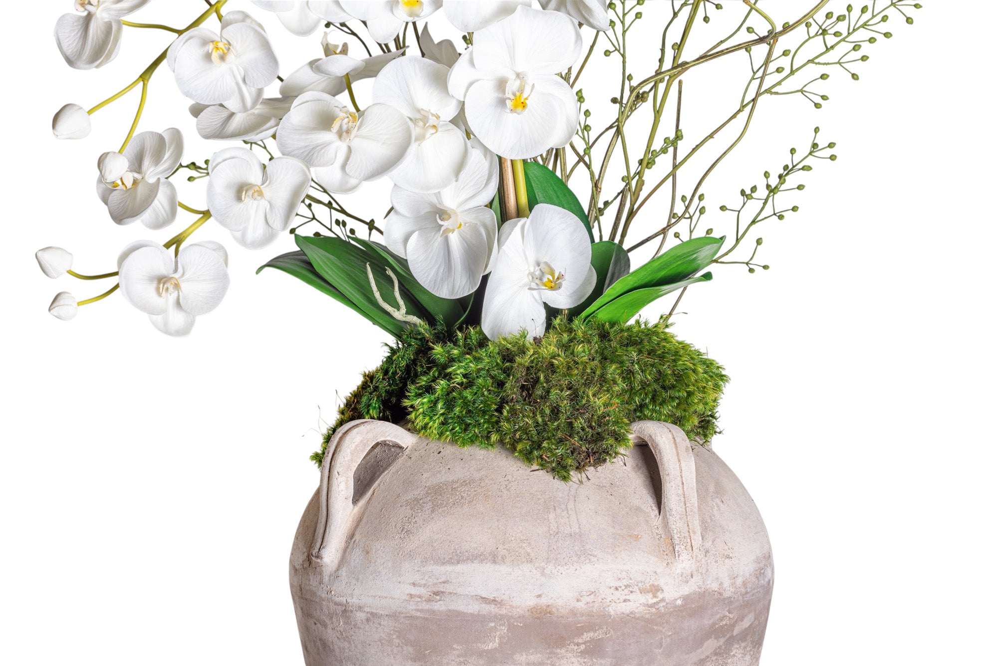20" Amalfi Jug with Orchid Arrangement AR1277