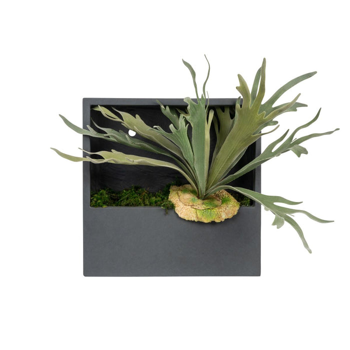 Large Piper Square Wall Hanger with Staghorn Fern   AR1821