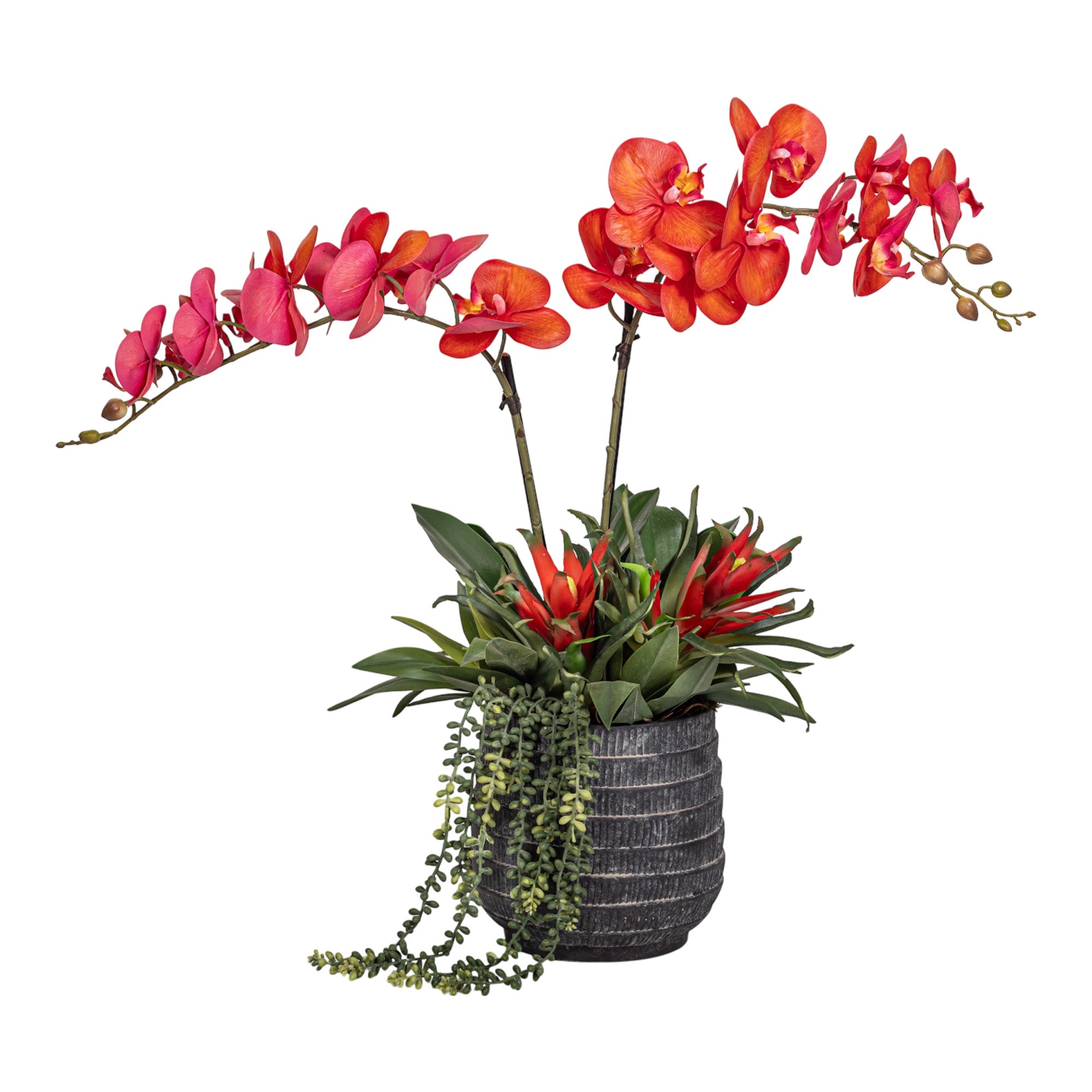 7" Zilla Pot with Orchid Arrangement AR1293