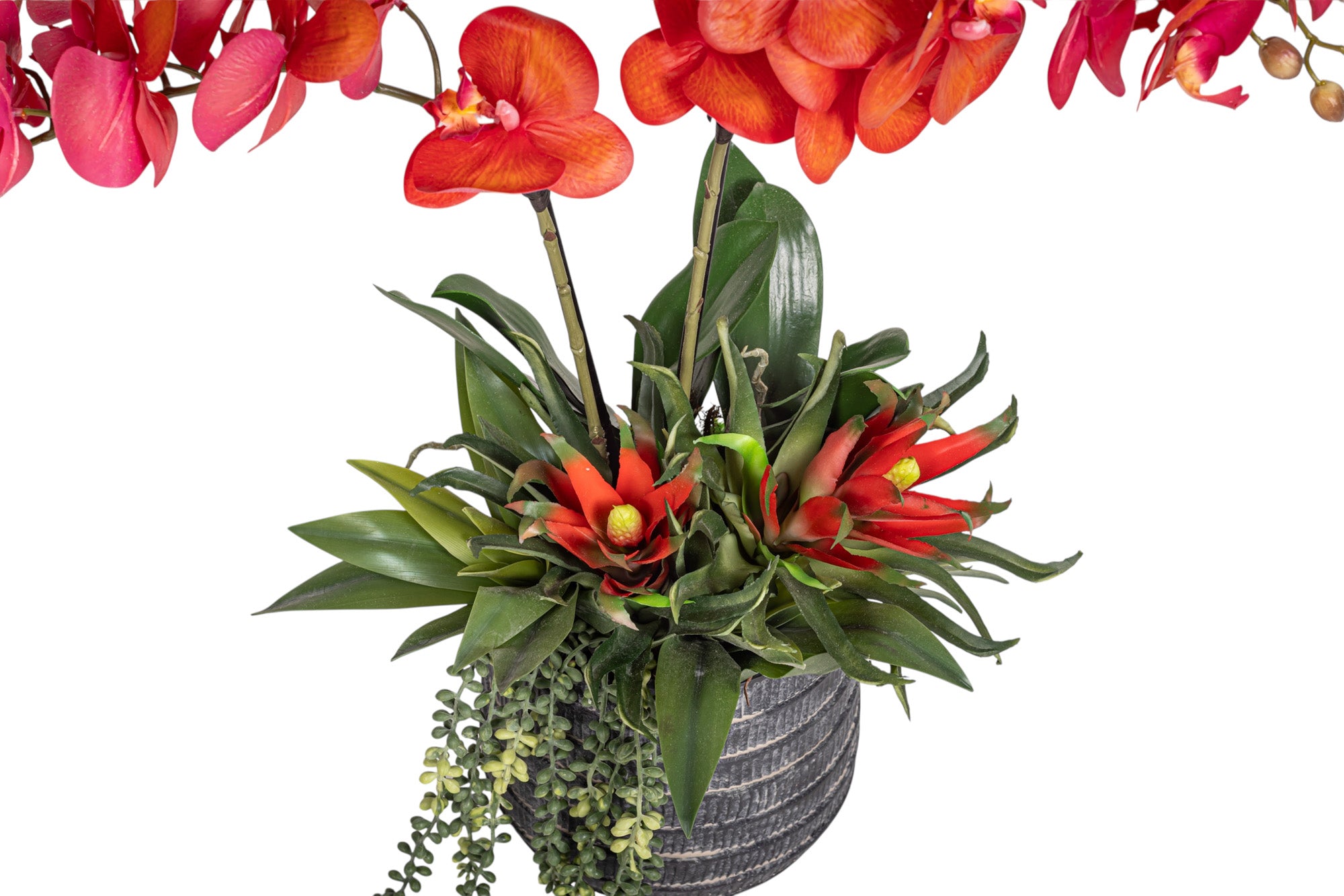 7" Zilla Pot with Orchid Arrangement AR1293