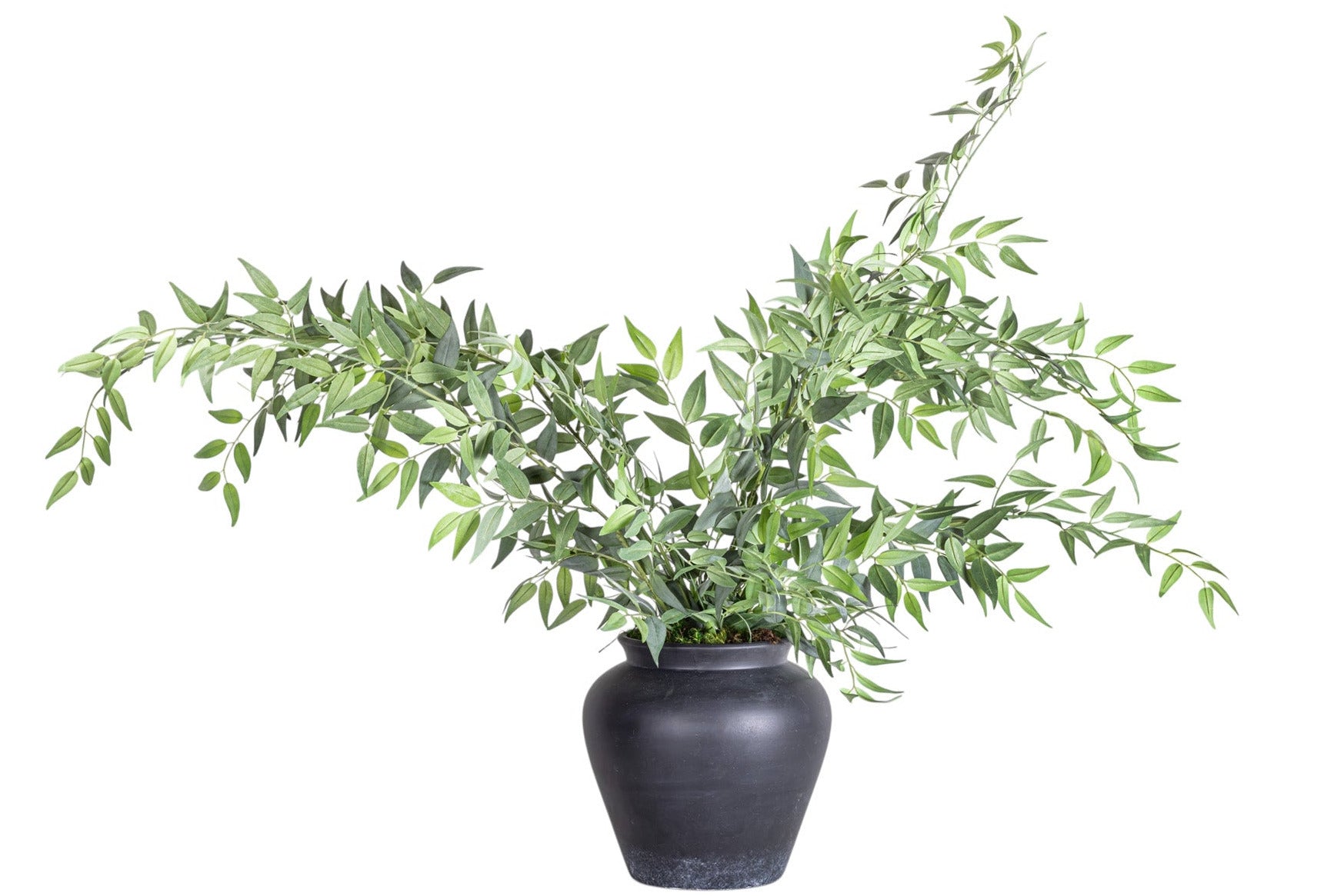 10" O'Neil Pot with Ruscus Arrangement AR1295