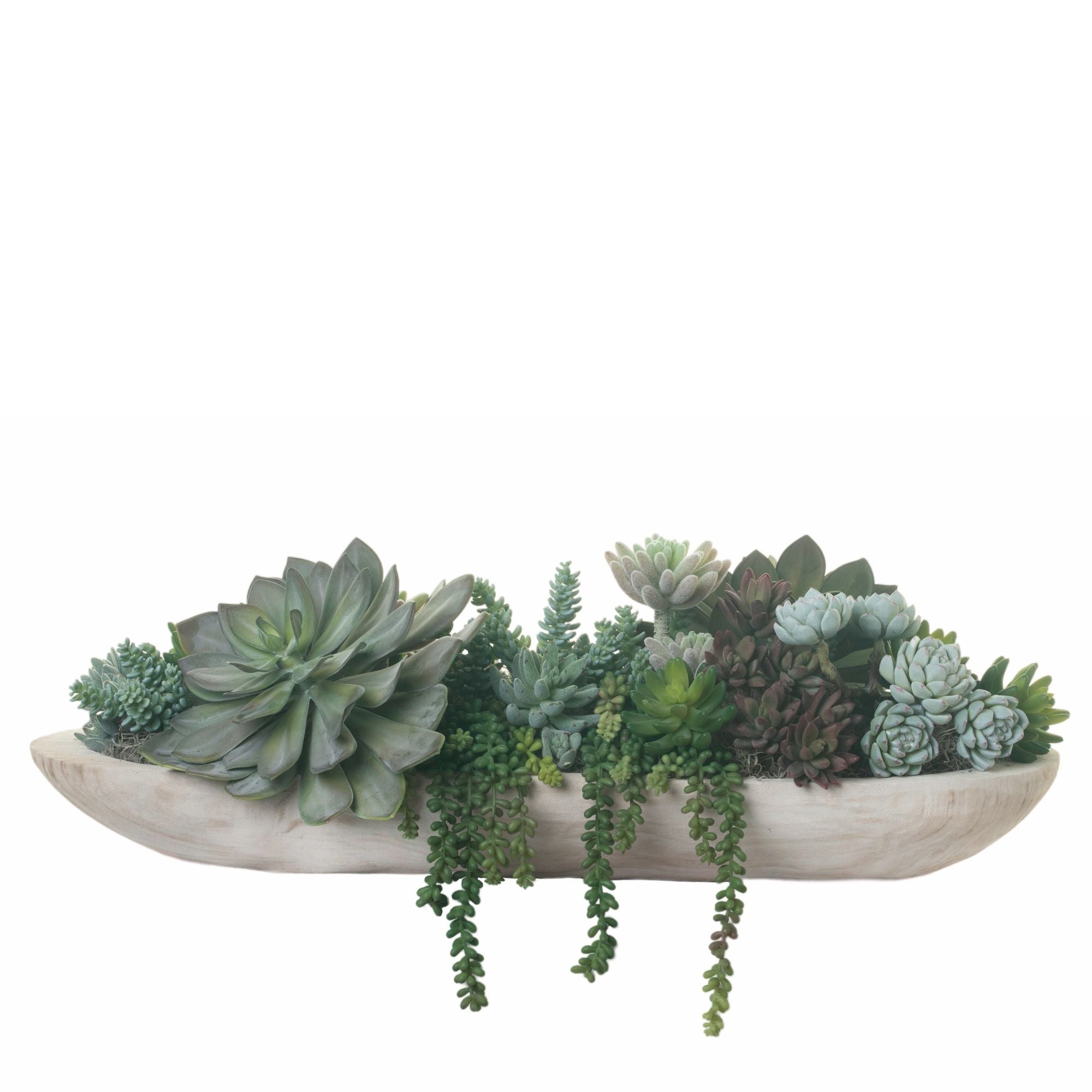 30” Light Wood Sedona Trough with Succulents AR1296