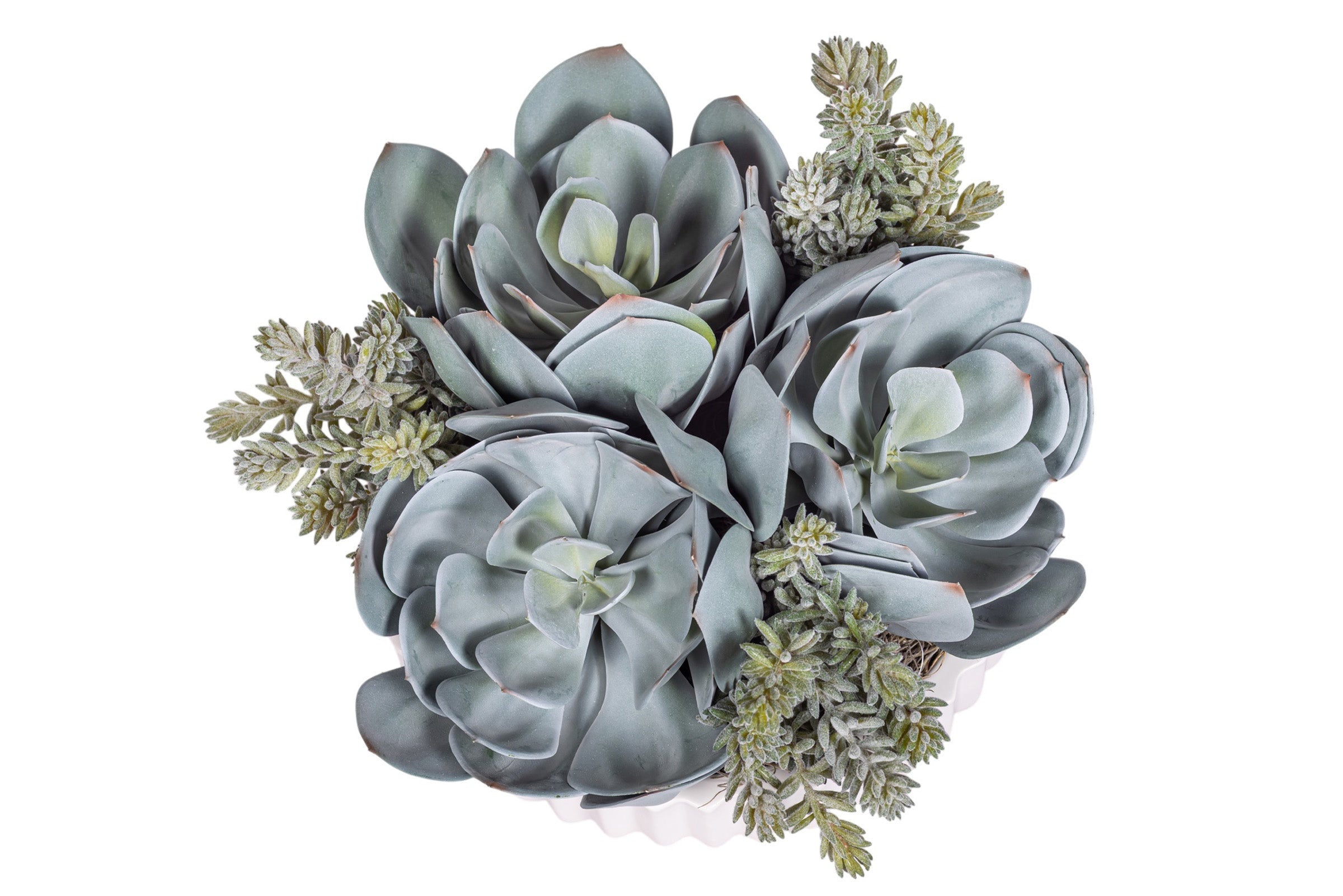 12" Wally Pot with Mixed Succulent Arrangement
