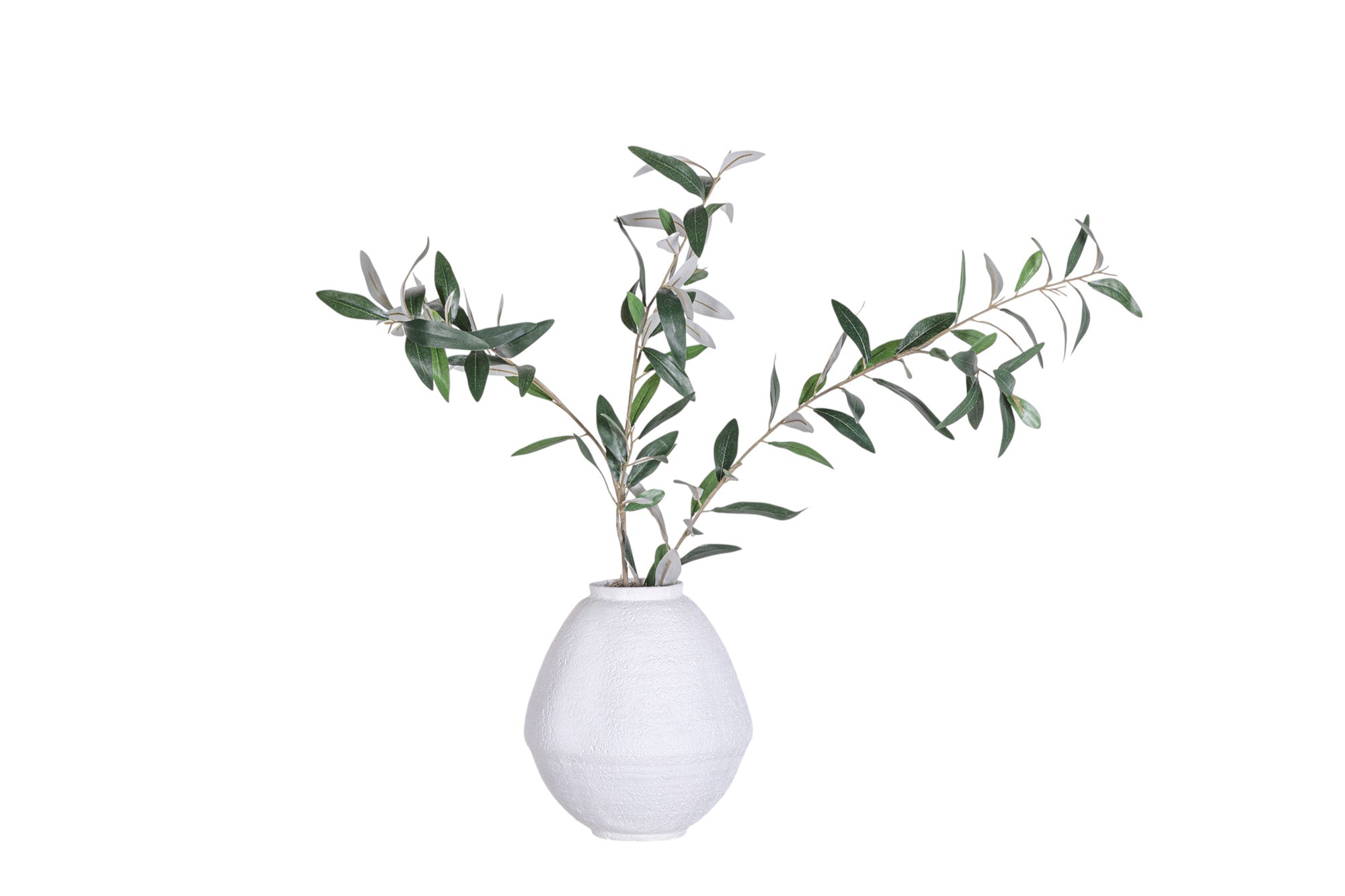 9" Jana Pot with Olive Branch Arrangement AR1325