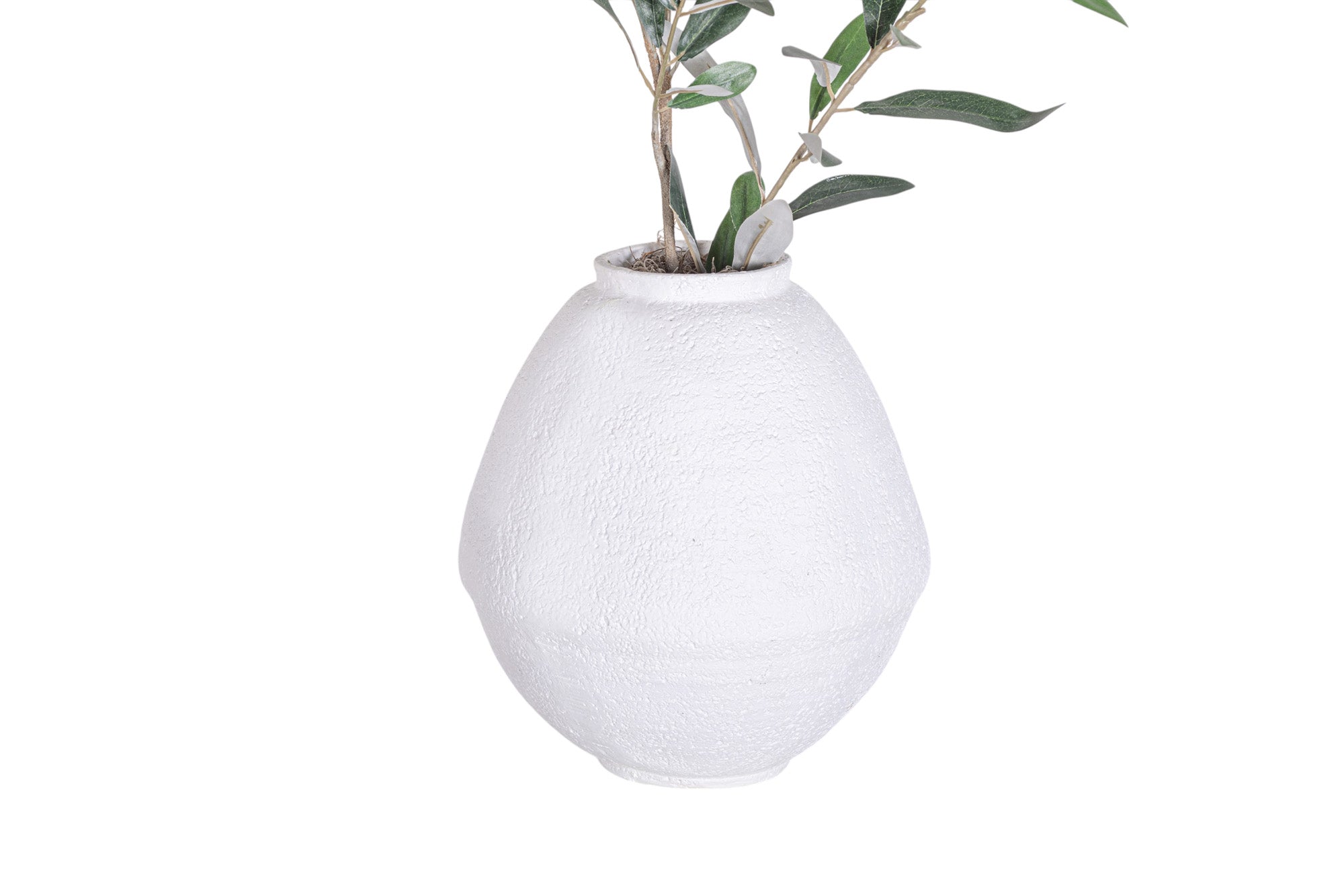 9" Jana Pot with Olive Branch Arrangement AR1325