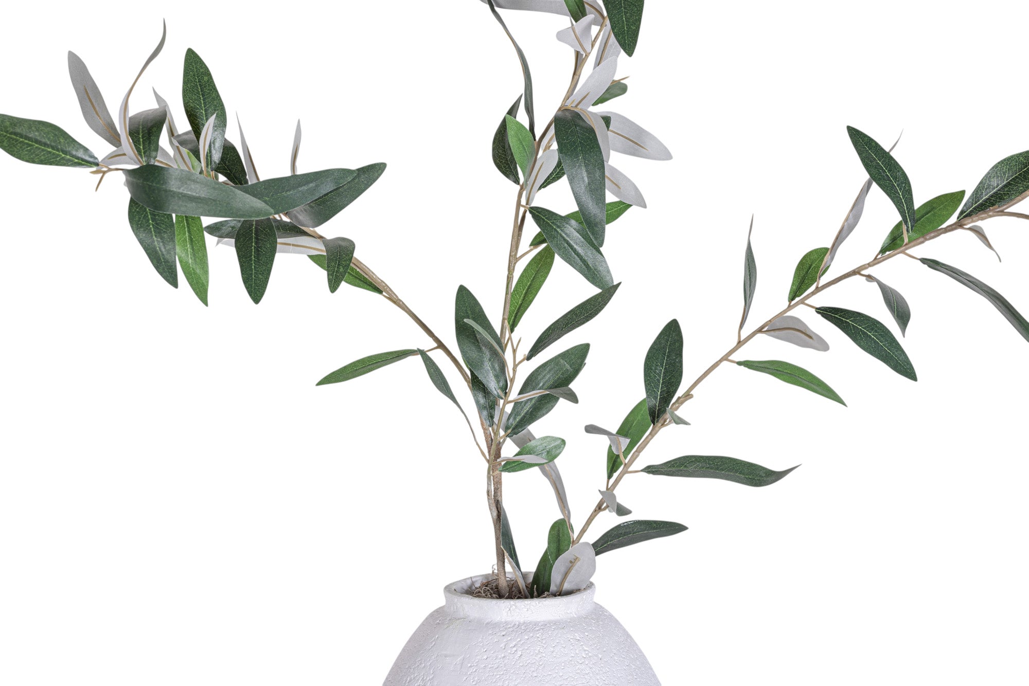 11" Jana Pot with Olive Branch Arrangement AR1325