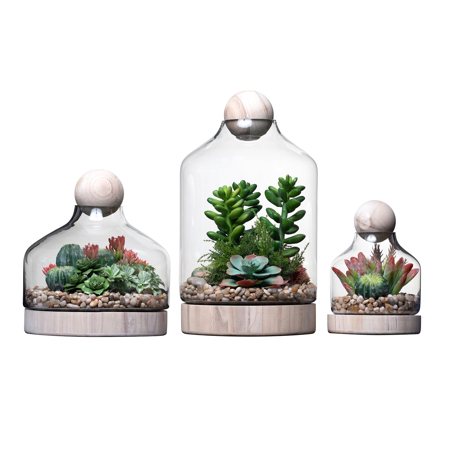 Chileno Terrarium Trio Arrangement   AR1337