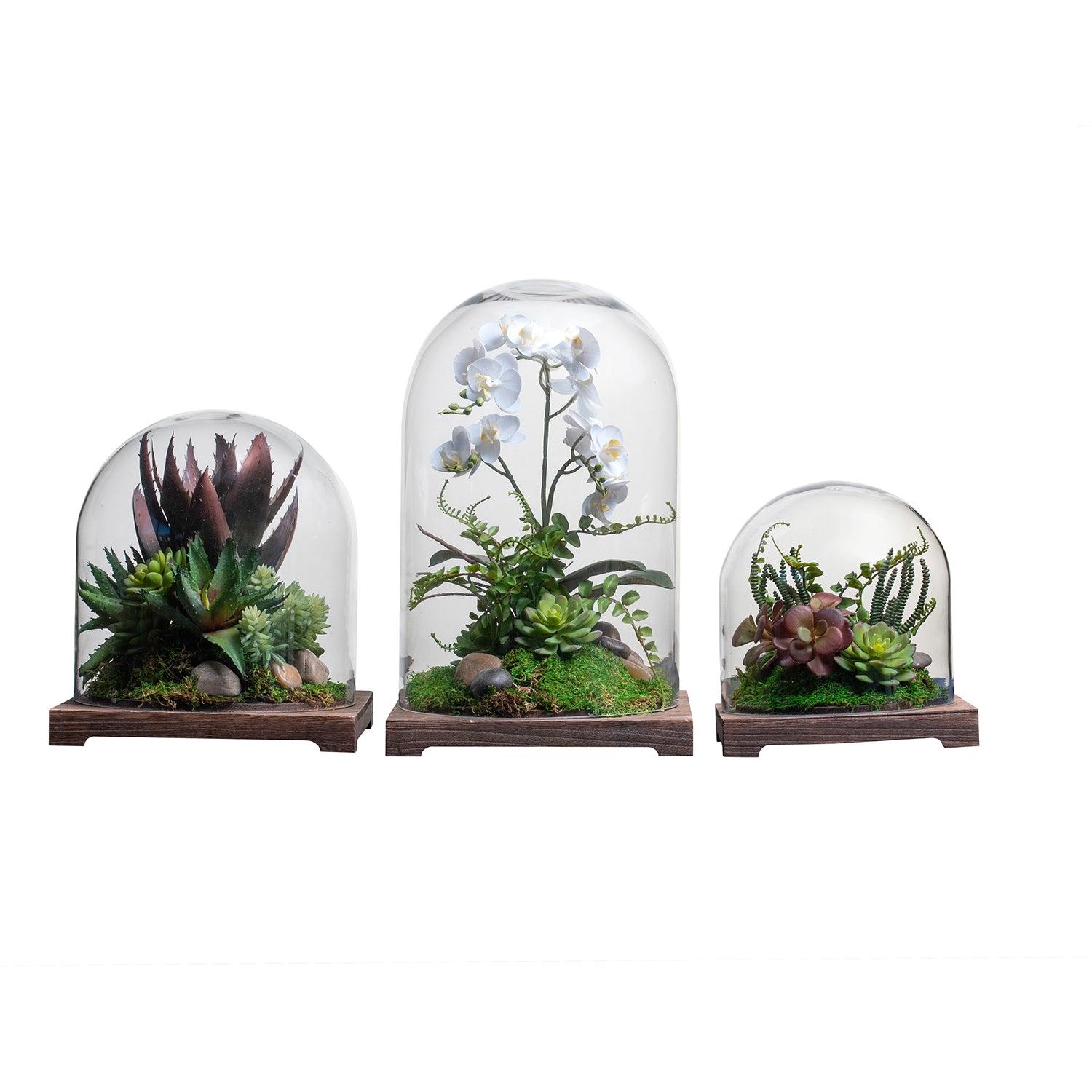 Cabo Terrarium Trio Arrangement   AR1342