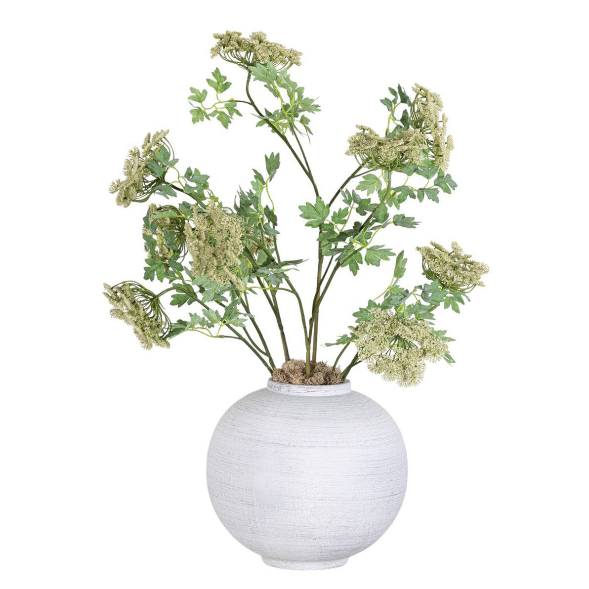 10" Tyler Vase with Queen Anne's Lace Arrangement AR1343