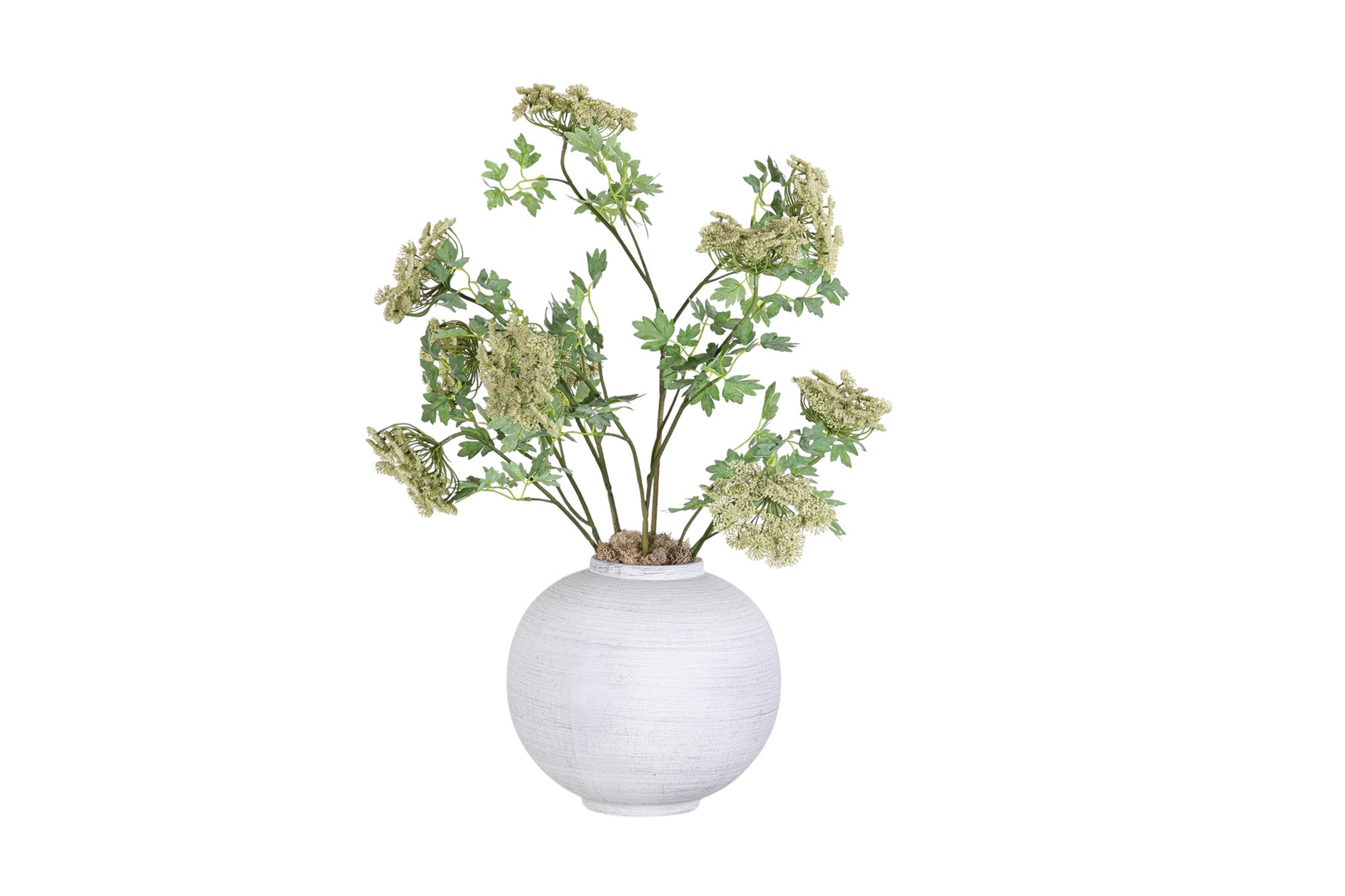 10" Tyler Vase with Queen Anne's Lace Arrangement AR1343