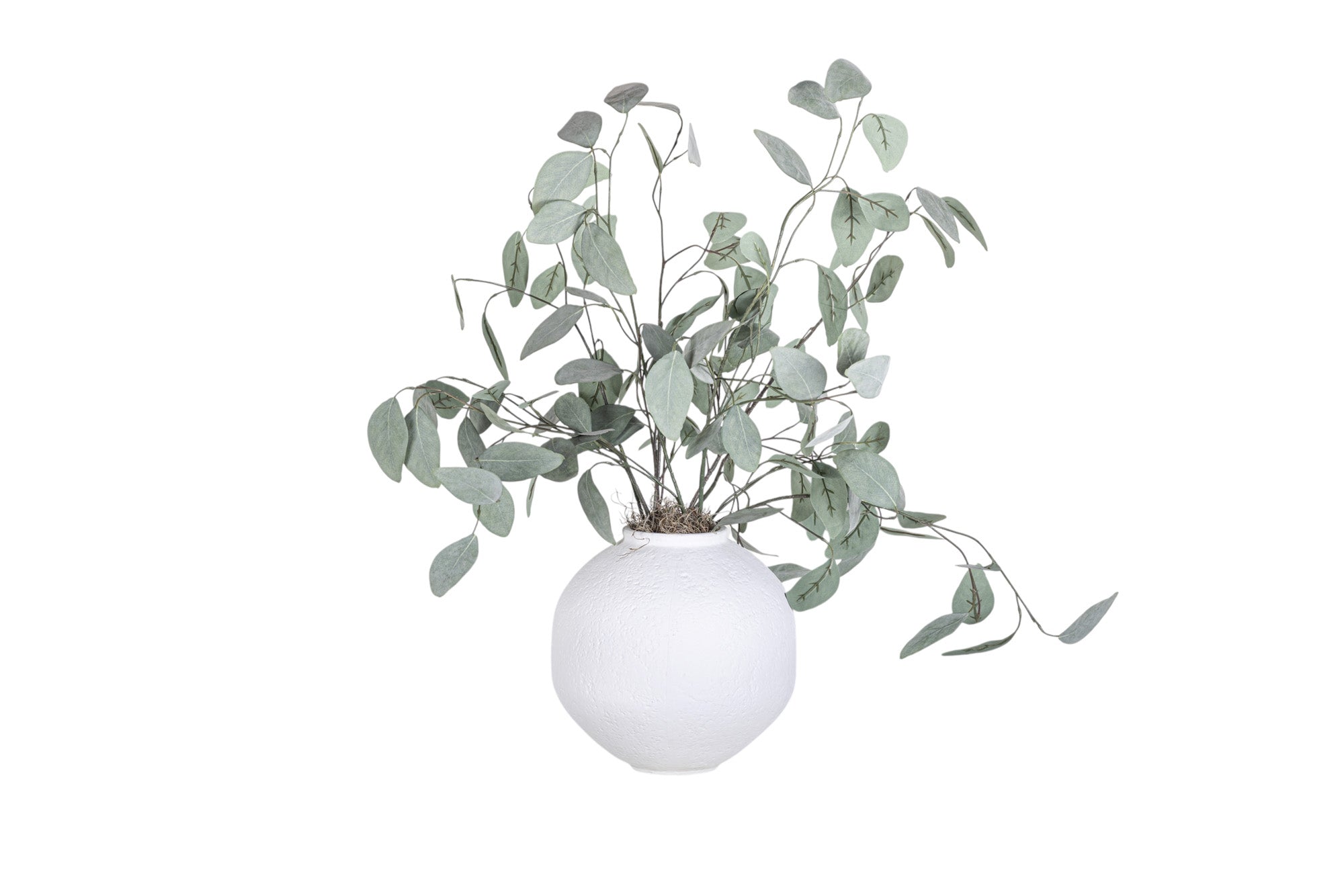 10" Nova Pot with Eucalyptus Arrangement AR1352