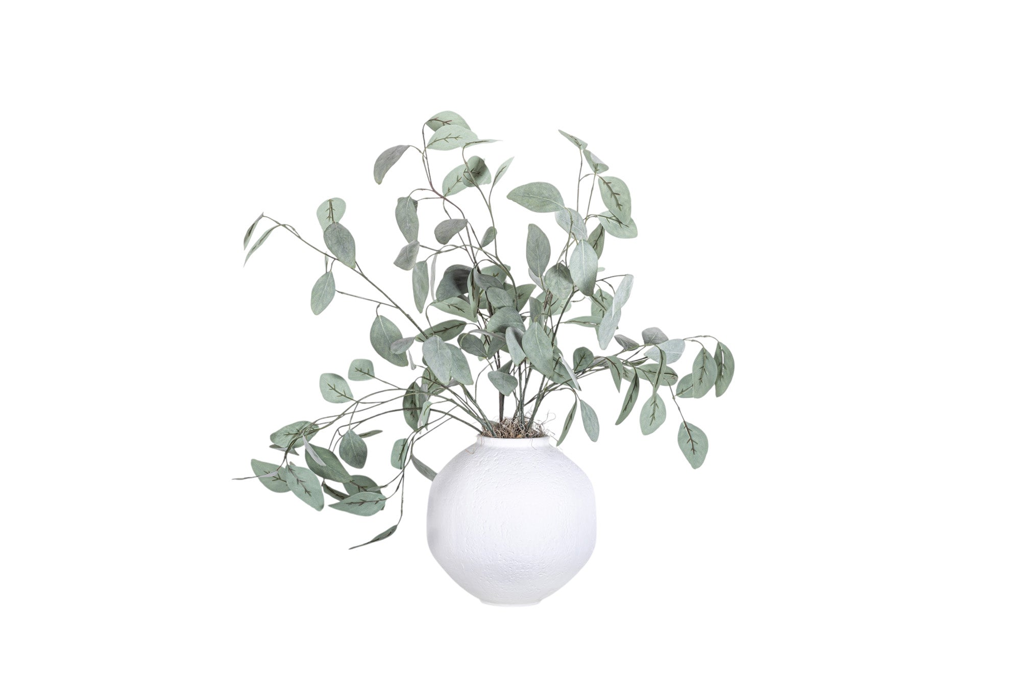 10" Nova Pot with Eucalyptus Arrangement AR1352