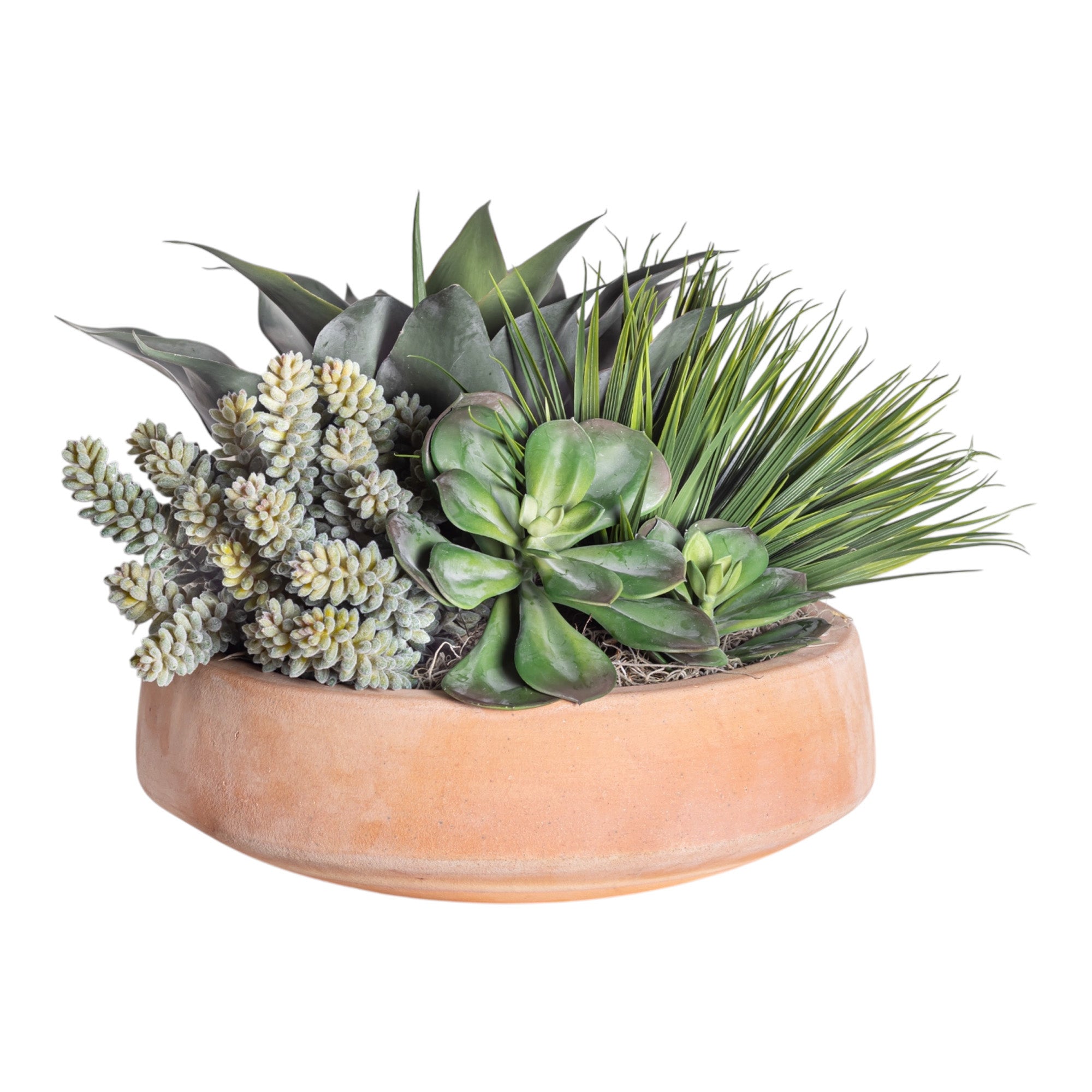 Mixed Succulent Arrangement in Terracotta Mack Bowl AR1374