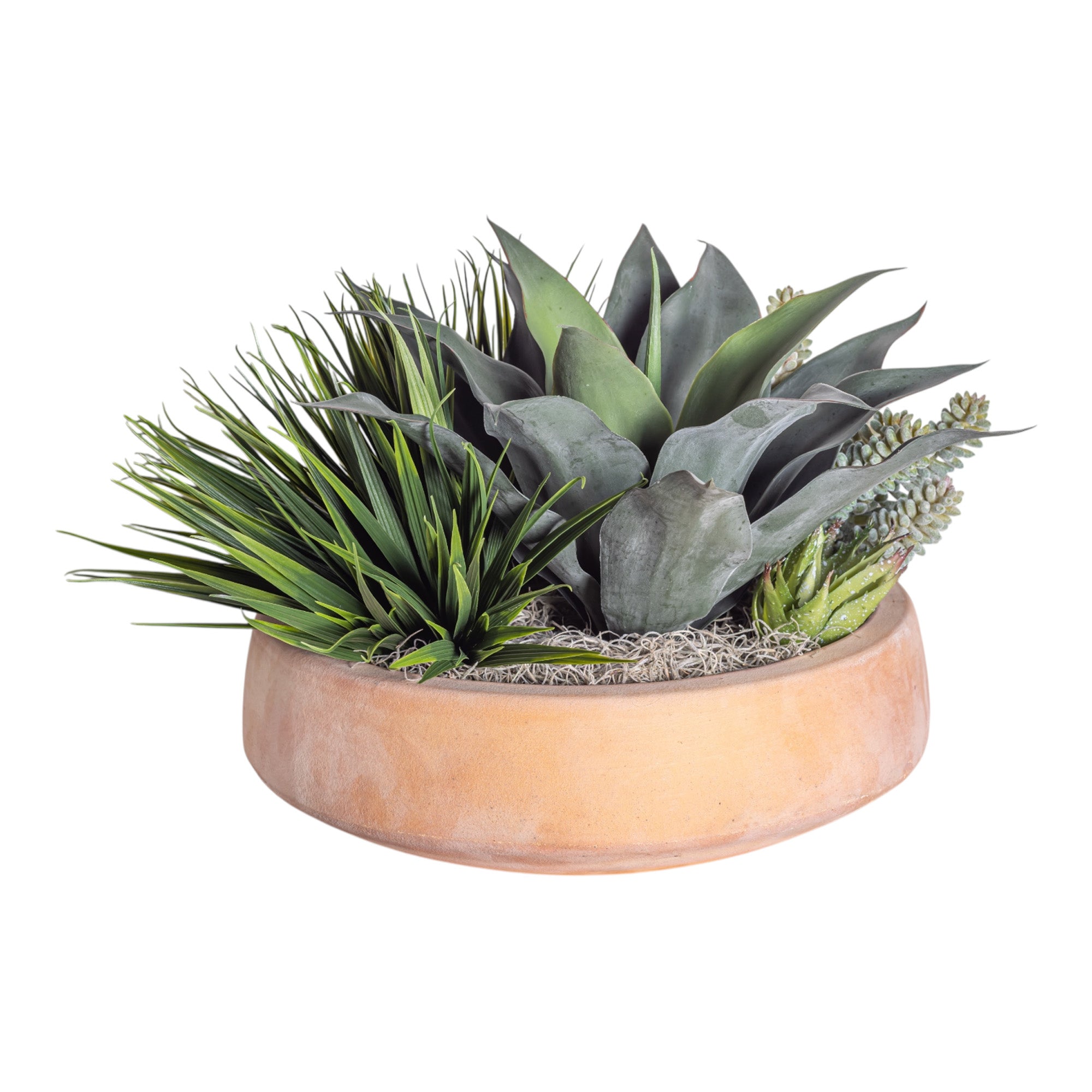 Mixed Succulent Arrangement in Terracotta Mack Bowl AR1374