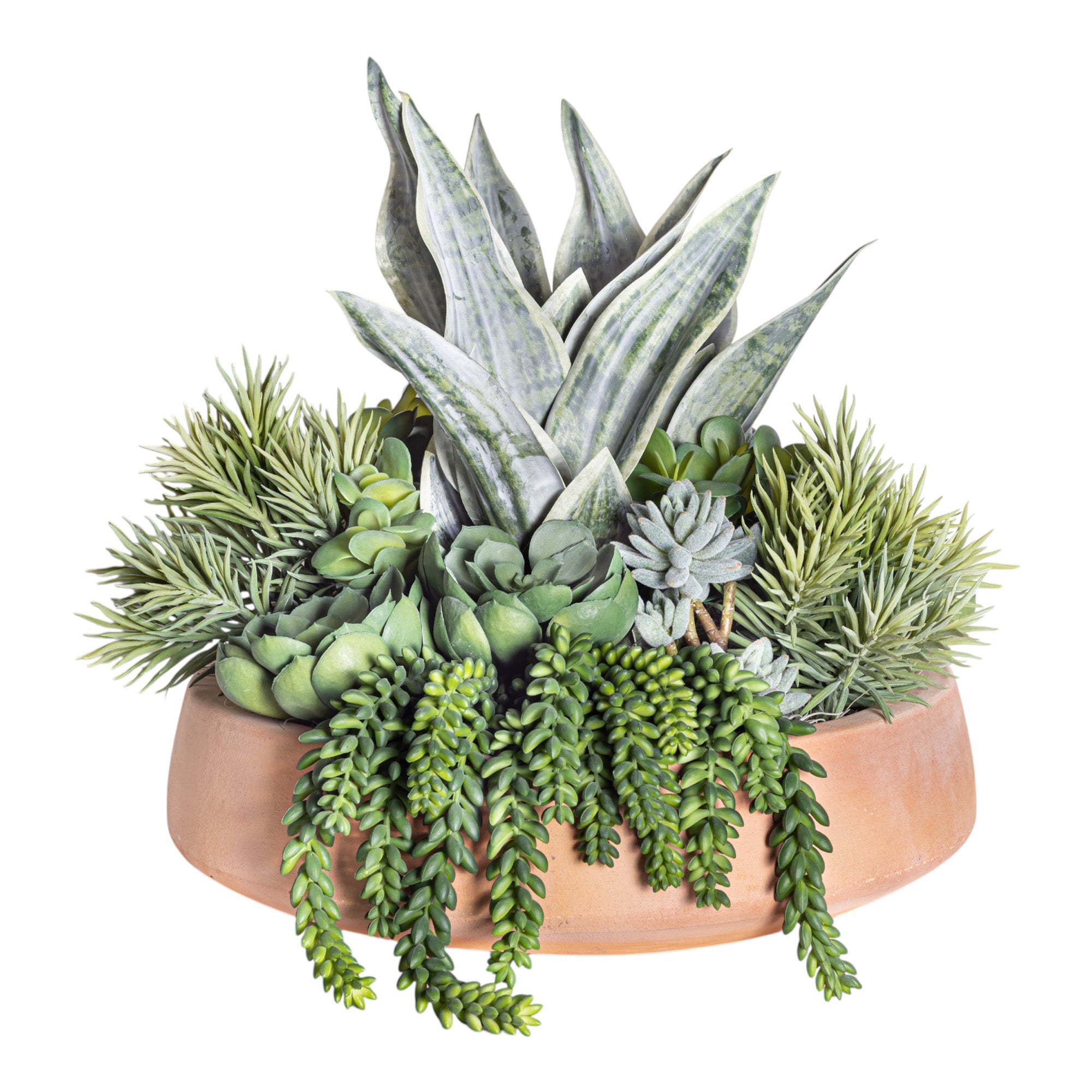 Mixed Succulent Arrangement in Terracotta Mack Bowl AR1375