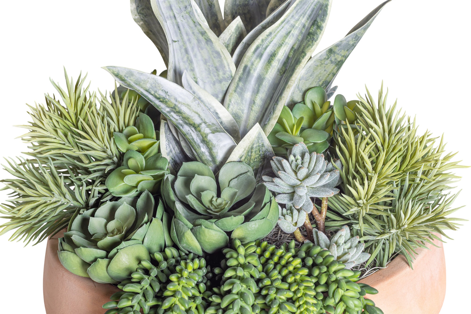 Mixed Succulent Arrangement in Terracotta Mack Bowl AR1375