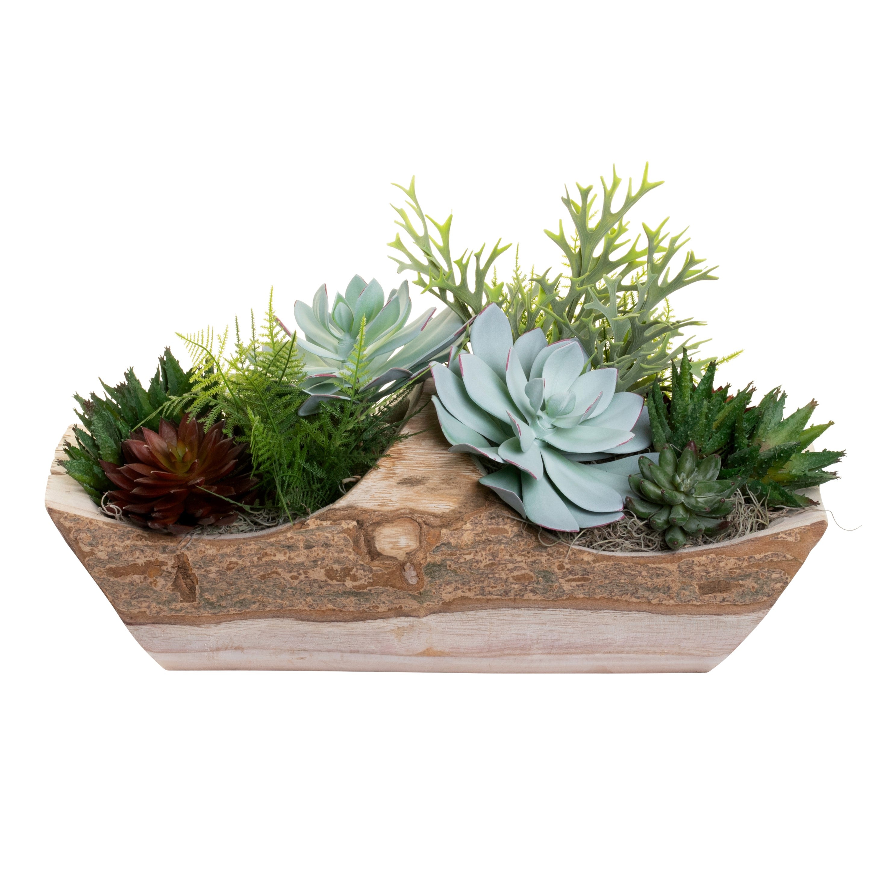 23" Sedona Wood Basket with Succulent Arrangement   AR1388